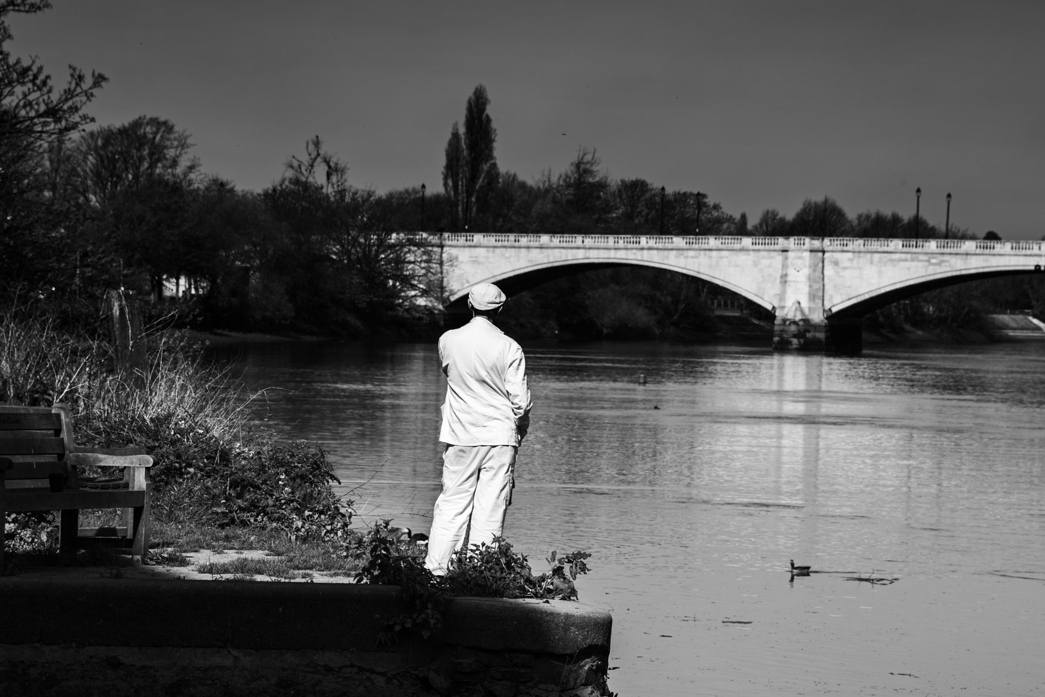 Nikon D810 sample photo. 'reunion' photography