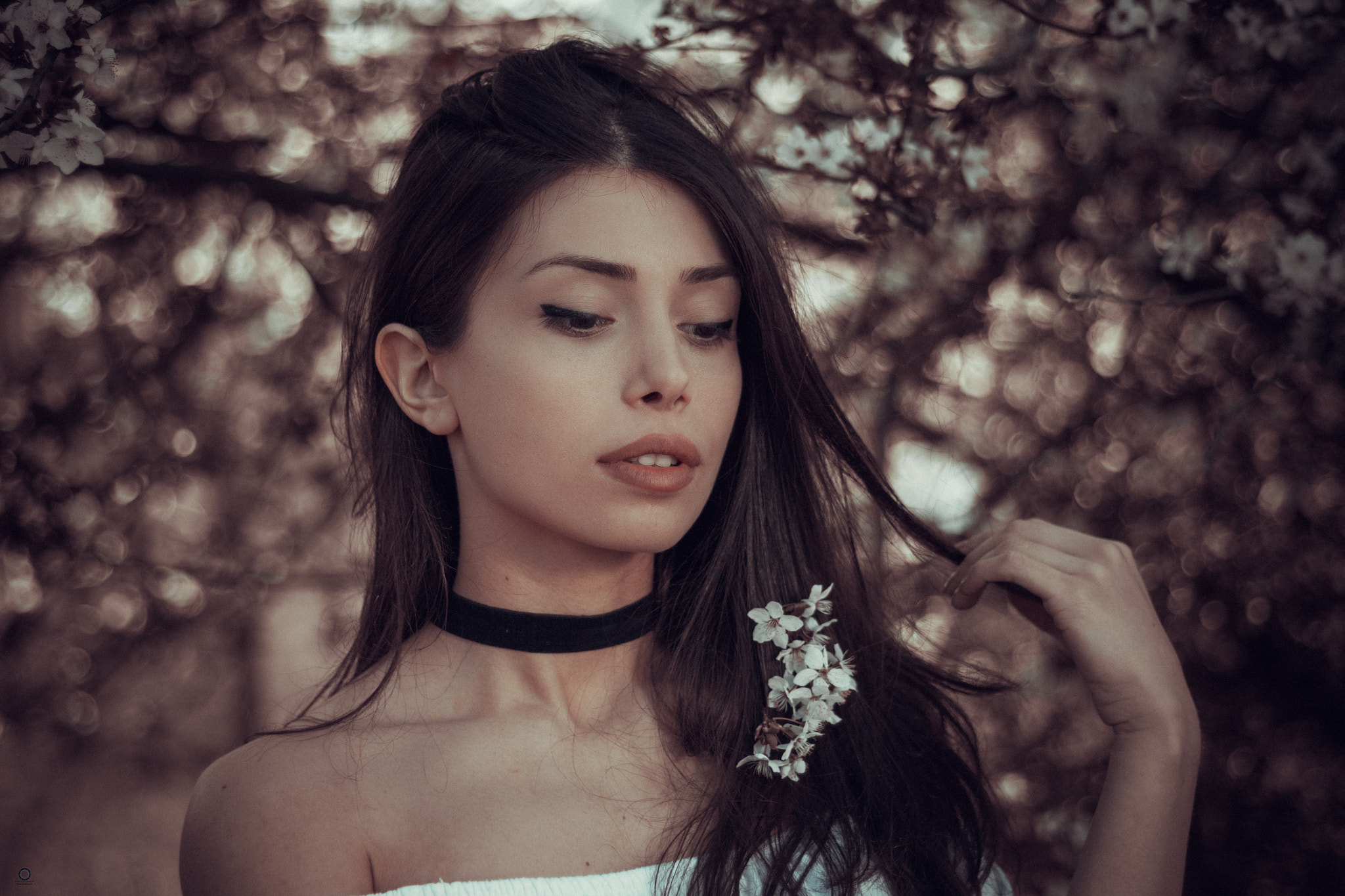 Canon EOS 50D + Canon EF 50mm f/1.8 sample photo. Elie photography
