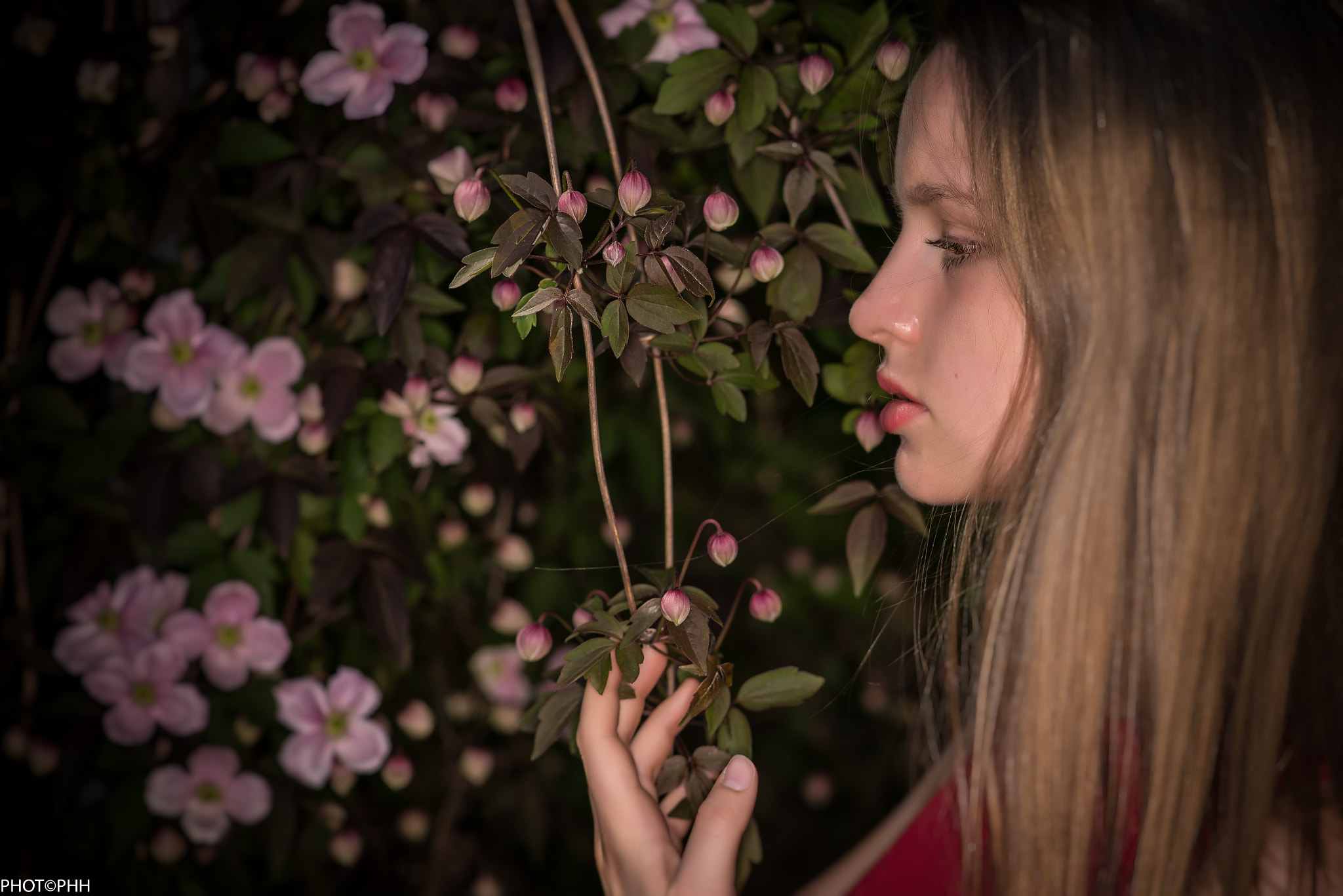 Nikon AF-S Micro-Nikkor 105mm F2.8G IF-ED VR sample photo. Ophélie photography