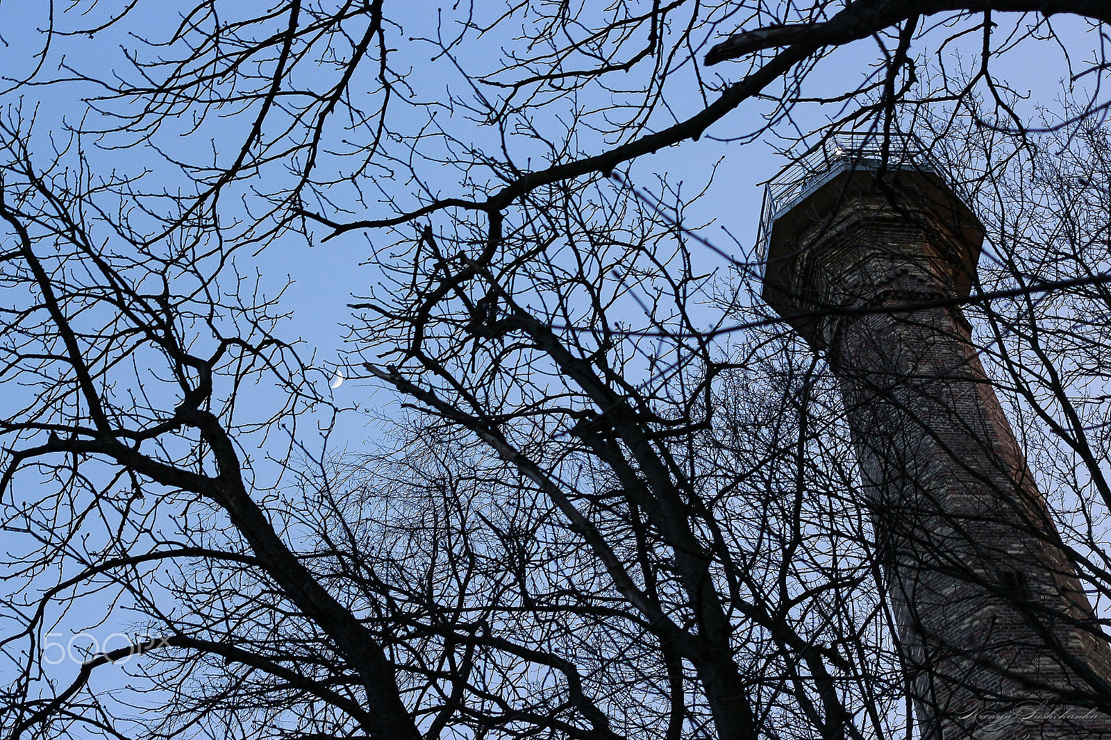 Canon EOS 700D (EOS Rebel T5i / EOS Kiss X7i) + Canon EF 40mm F2.8 STM sample photo. Tower moon photography