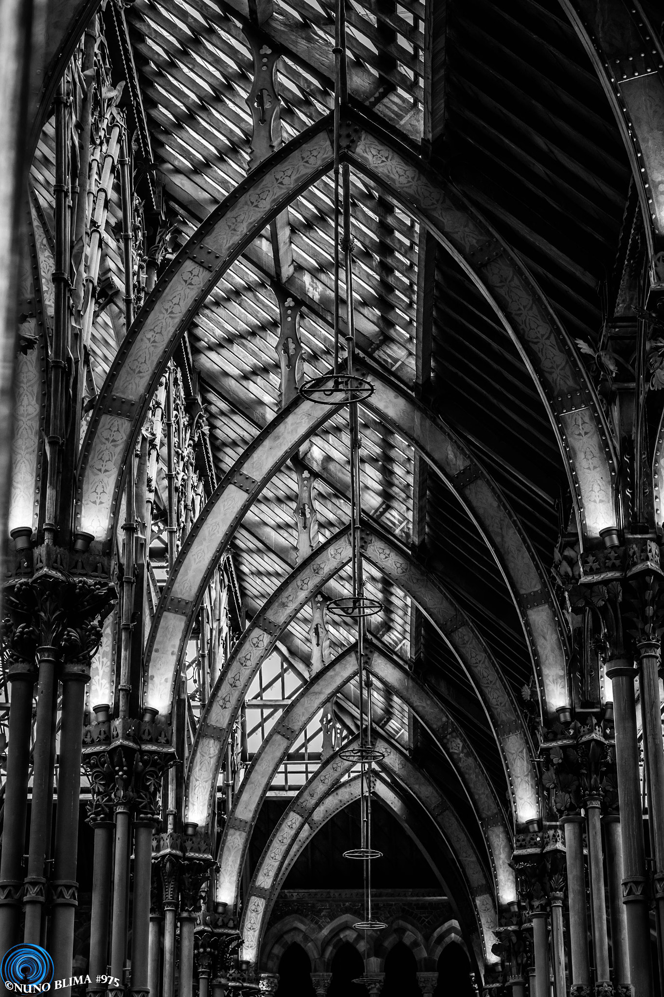 Canon EF 24-105mm F4L IS USM sample photo. Symmetry at the oxford natural history museum photography