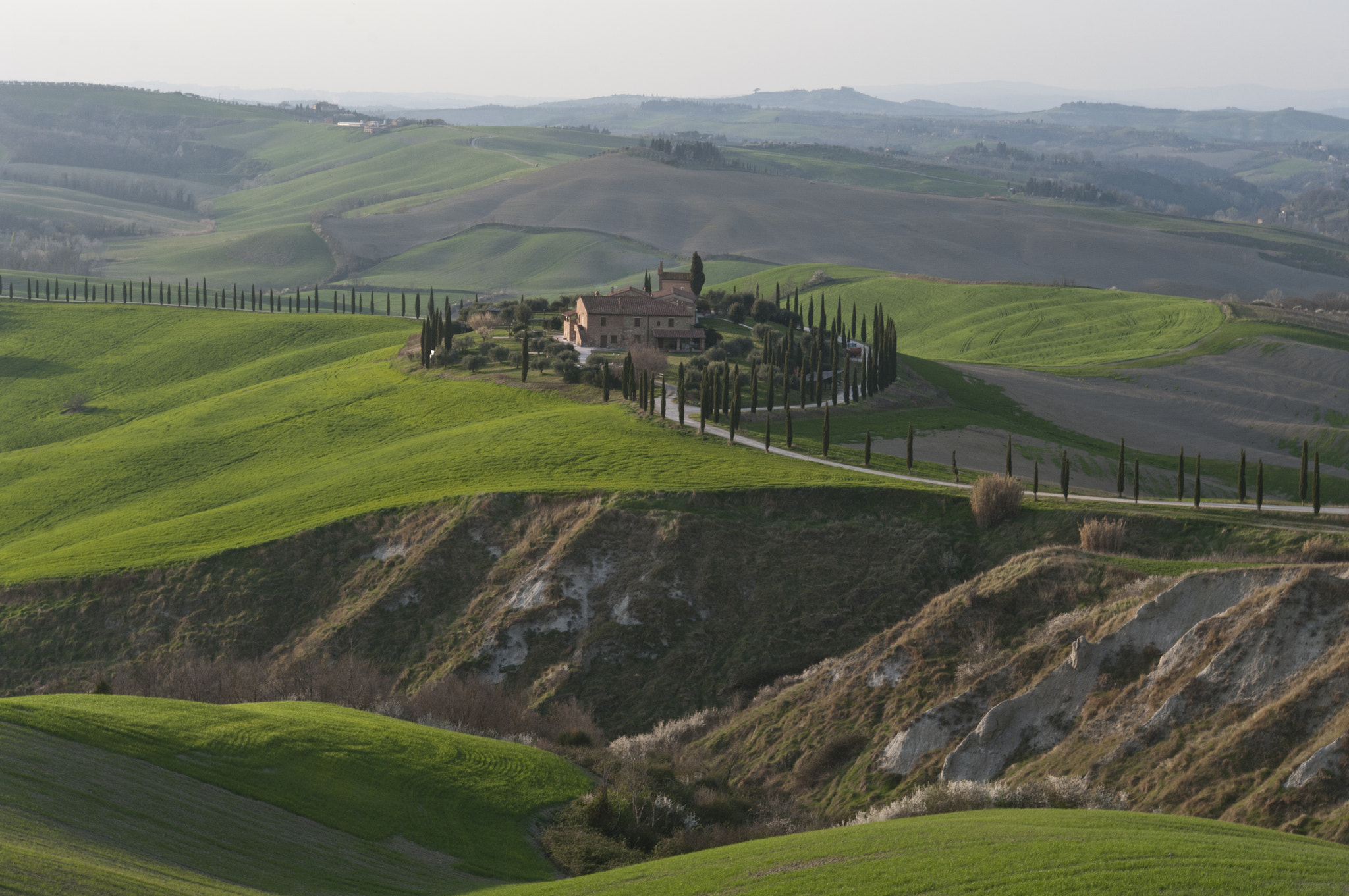 Pentax K20D + Pentax smc DA 18-55mm F3.5-5.6 AL sample photo. The accurate farmer drew this landscape photography