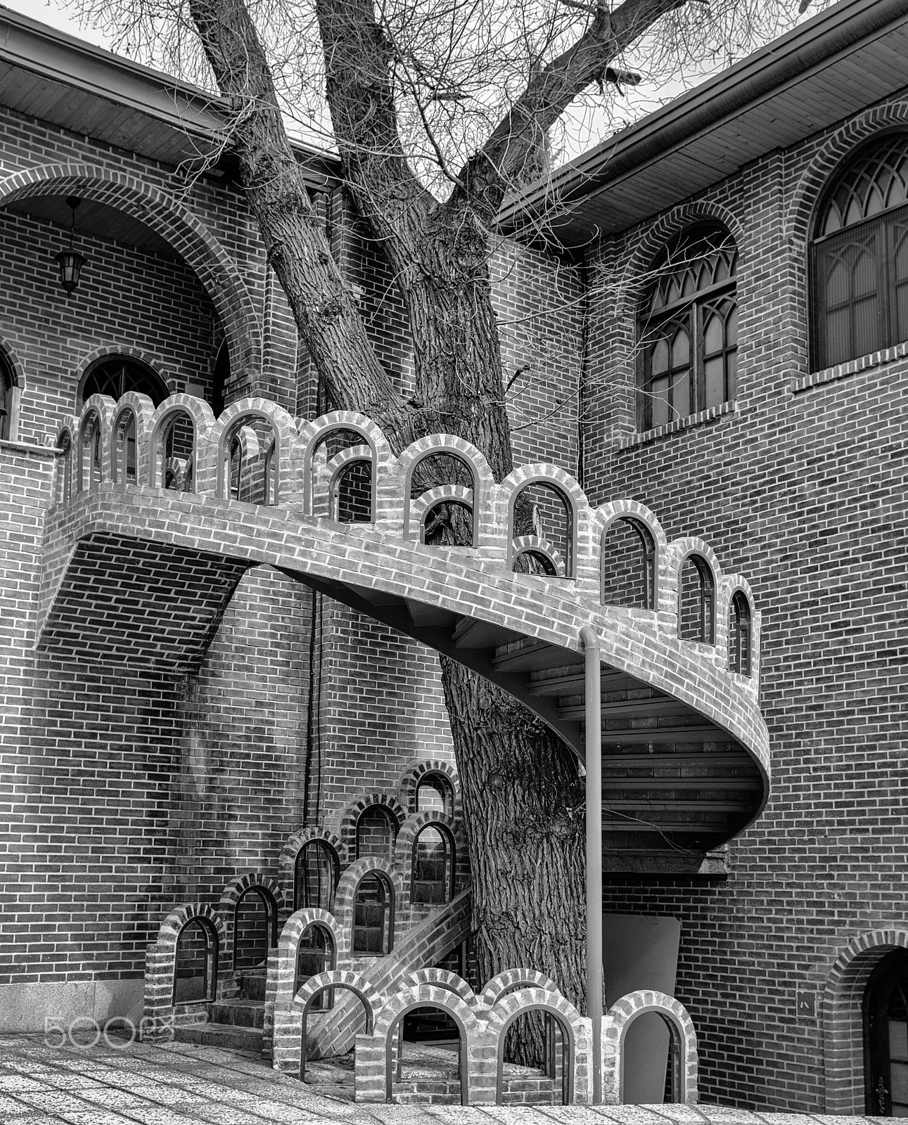Nikon AF-S Nikkor 24-120mm F4G ED VR sample photo. Tree and love photography