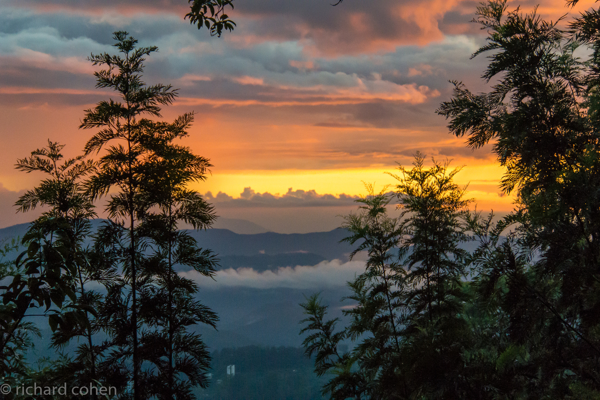 1 NIKKOR VR 10-100mm f/4-5.6 sample photo. Kerala, india sunset photography