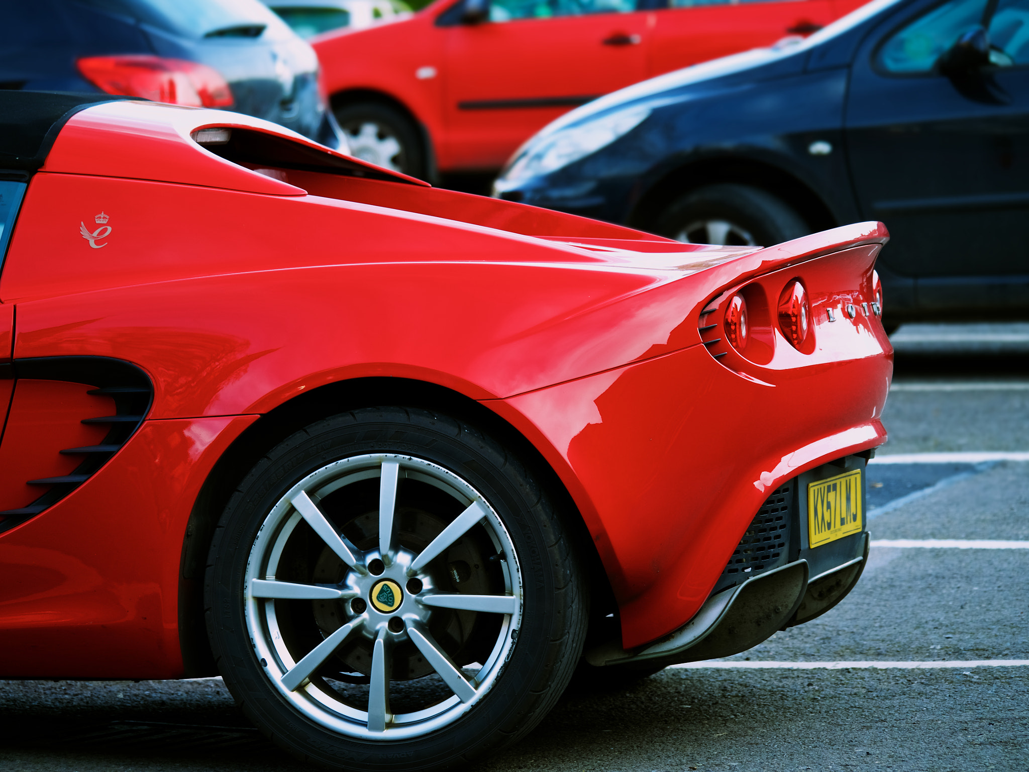 Olympus OM-D E-M5 II sample photo. Lotus photography