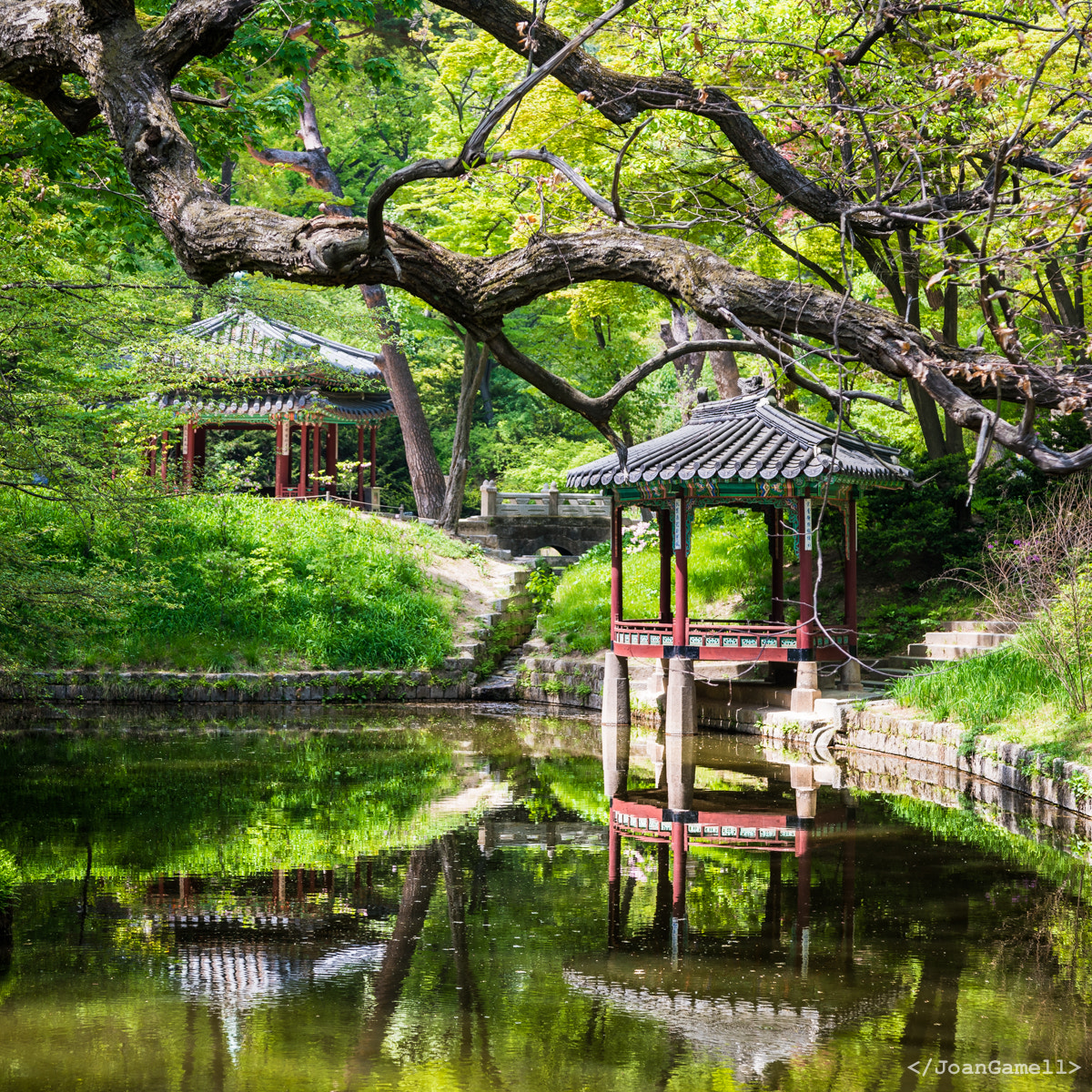 Sony a7R II sample photo. Scene from ancient kingdom of korea photography