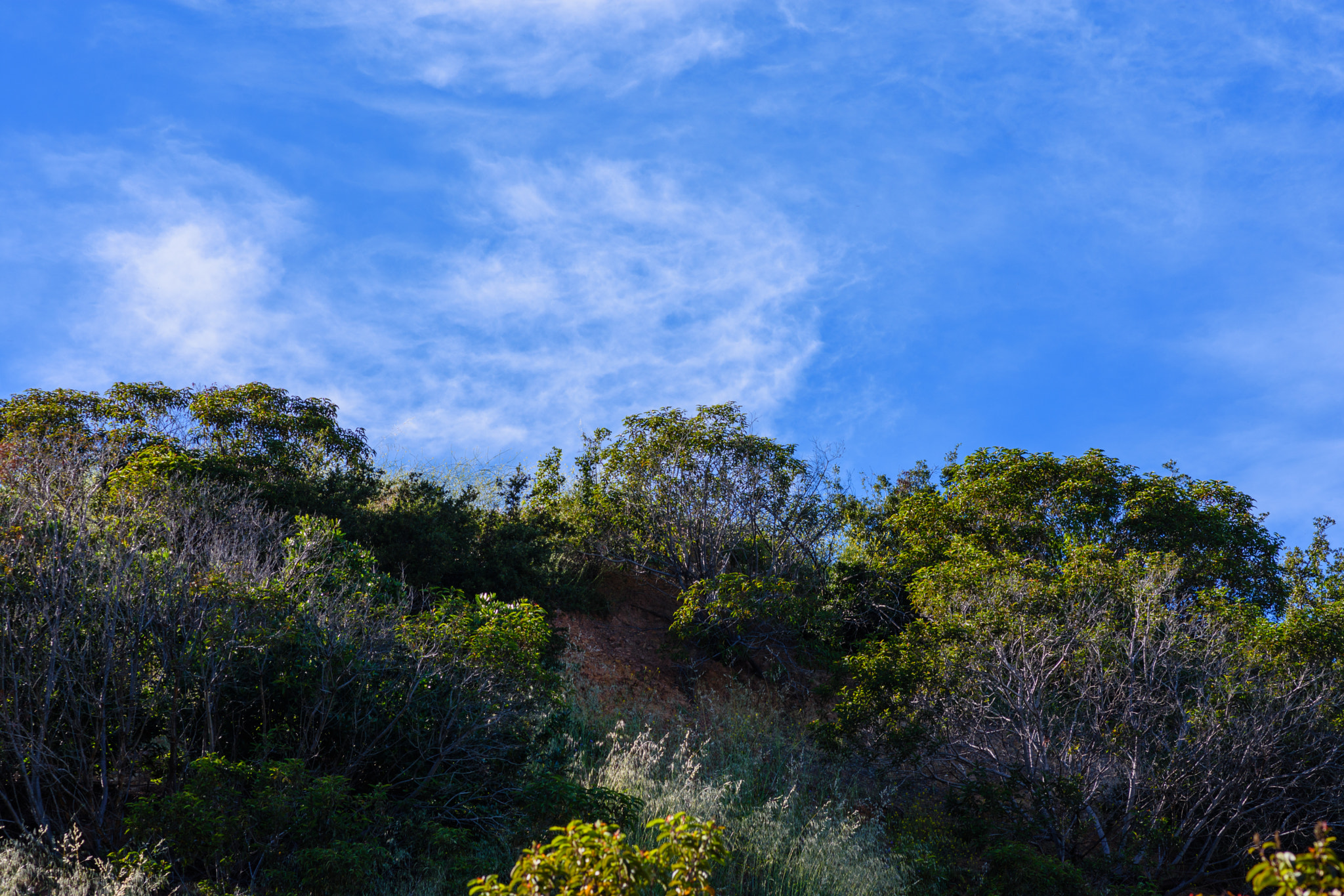 Nikon D7200 + Nikon AF-S Nikkor 85mm F1.8G sample photo. Top of the trail photography