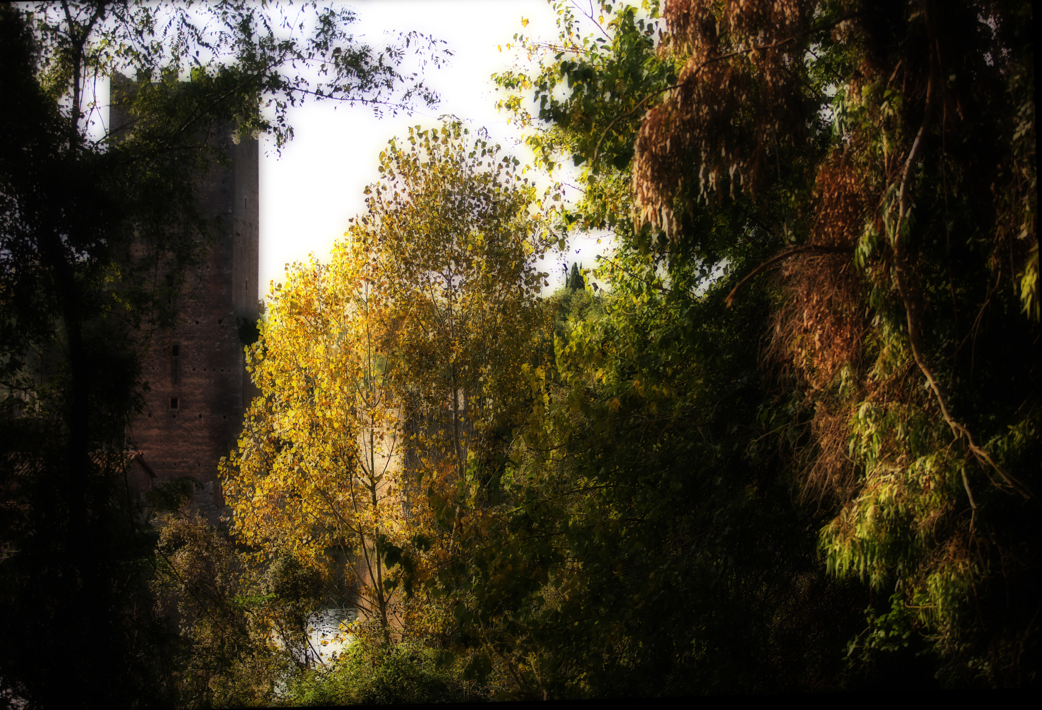 Canon EF 70-200mm F2.8L USM sample photo. Oasi di ninfa photography