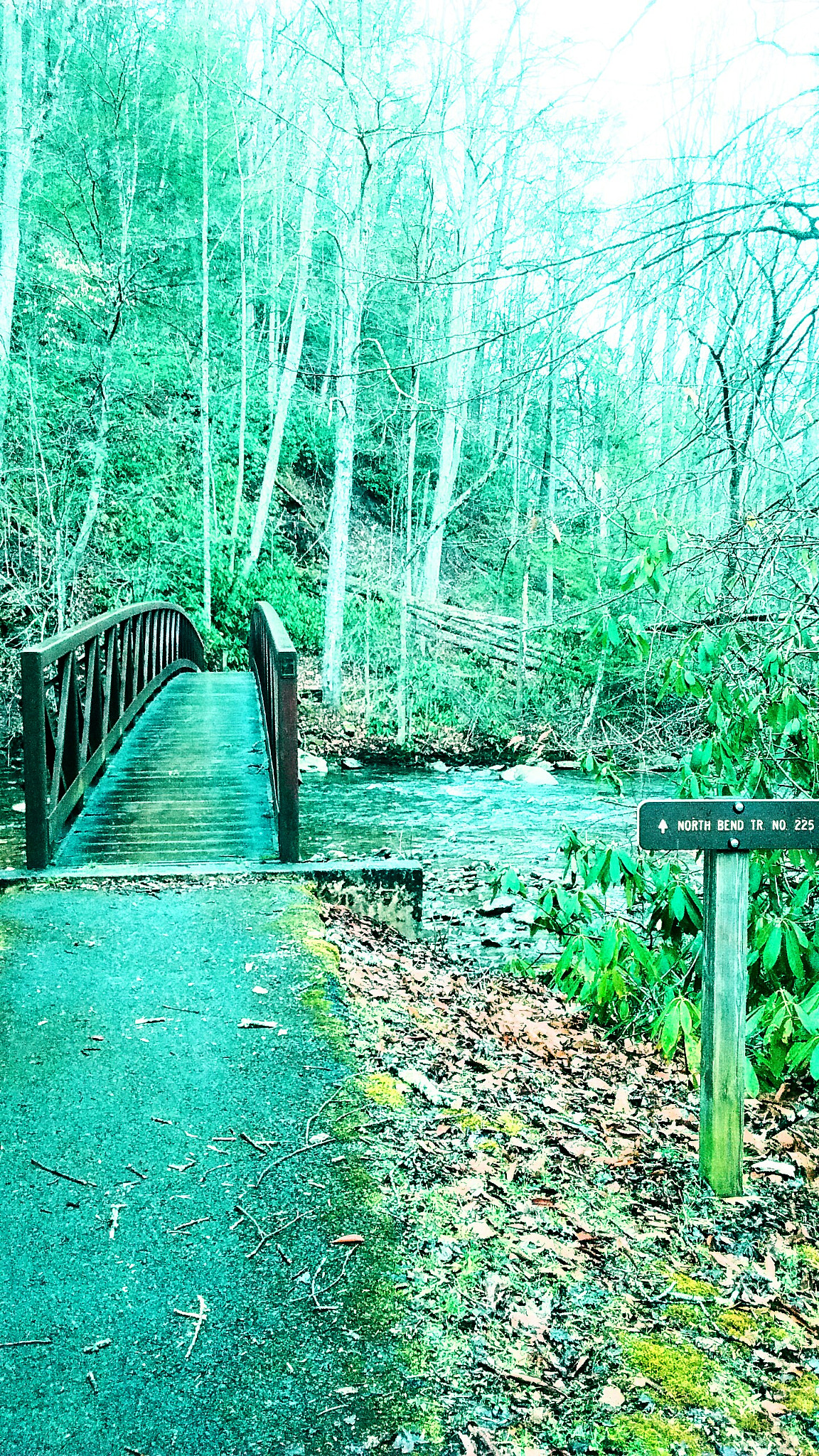 Motorola Moto E with 4G LTE (2nd Gen) sample photo