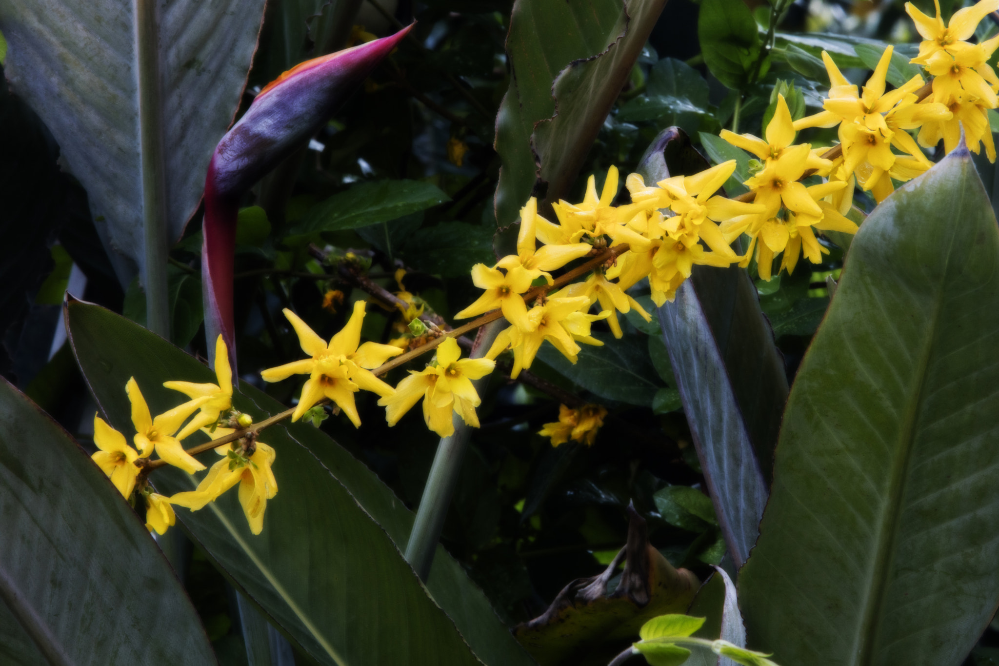Canon EF 70-200mm F2.8L USM sample photo. Orton photography
