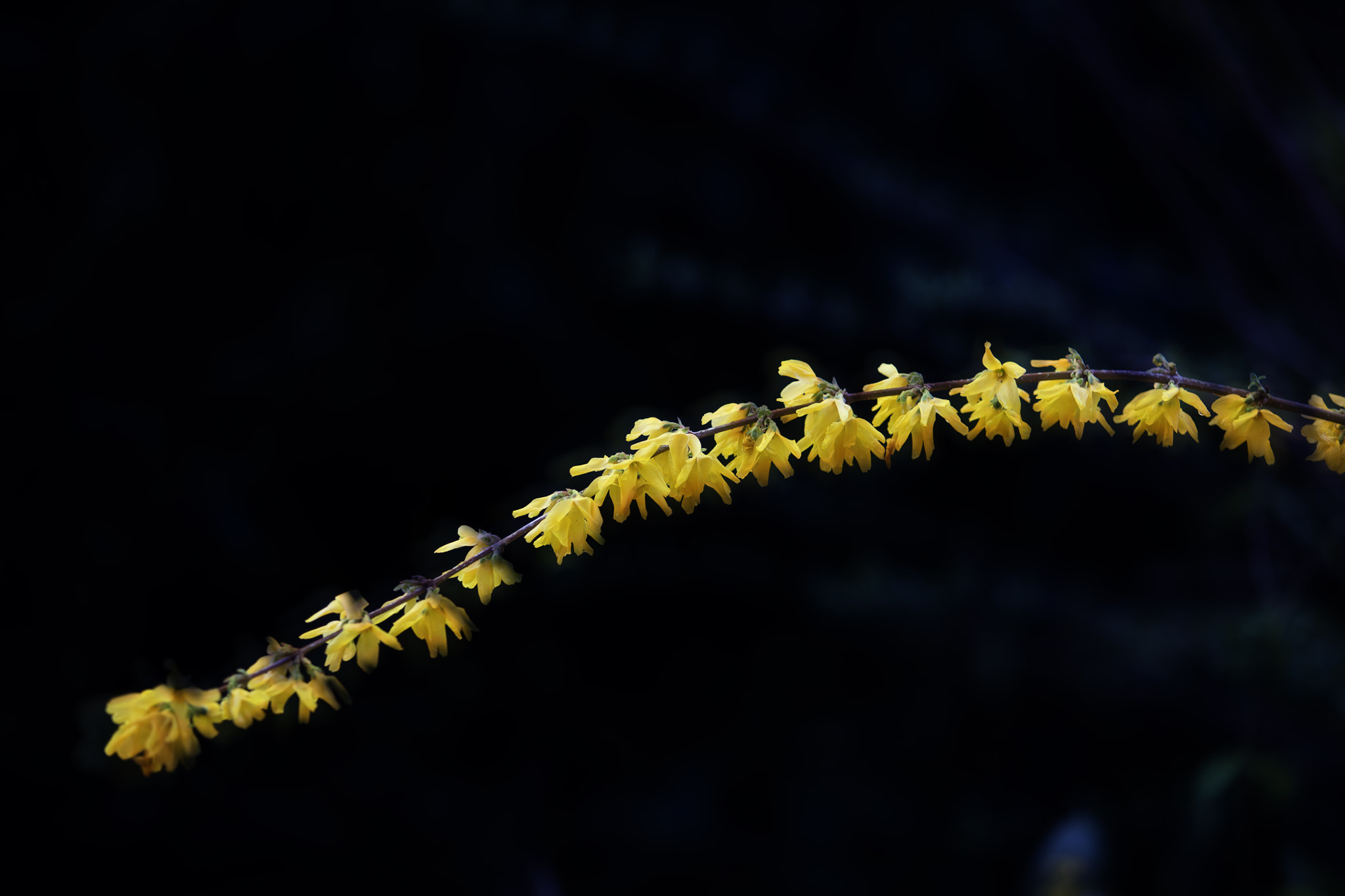 Canon EF 70-200mm F2.8L USM sample photo. Orton photography