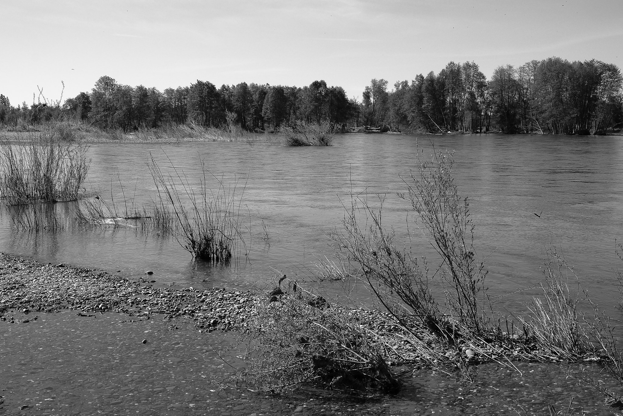 Fujifilm X-E2 + Fujifilm XF 18-55mm F2.8-4 R LM OIS sample photo. River reeds photography