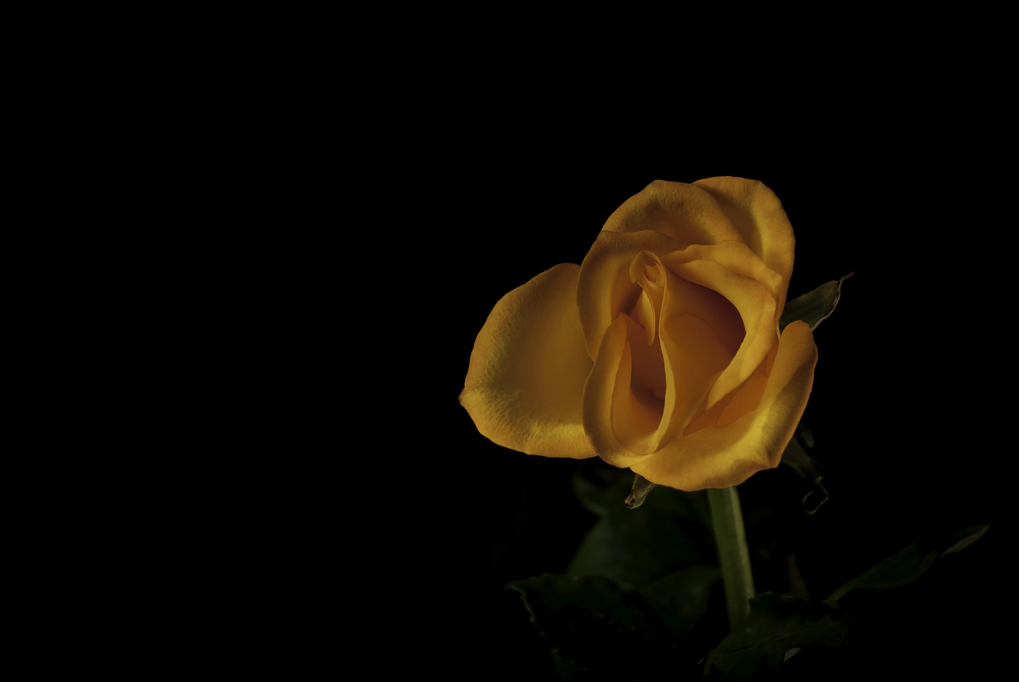 Nikon D200 sample photo. 32562748114.jpg photography