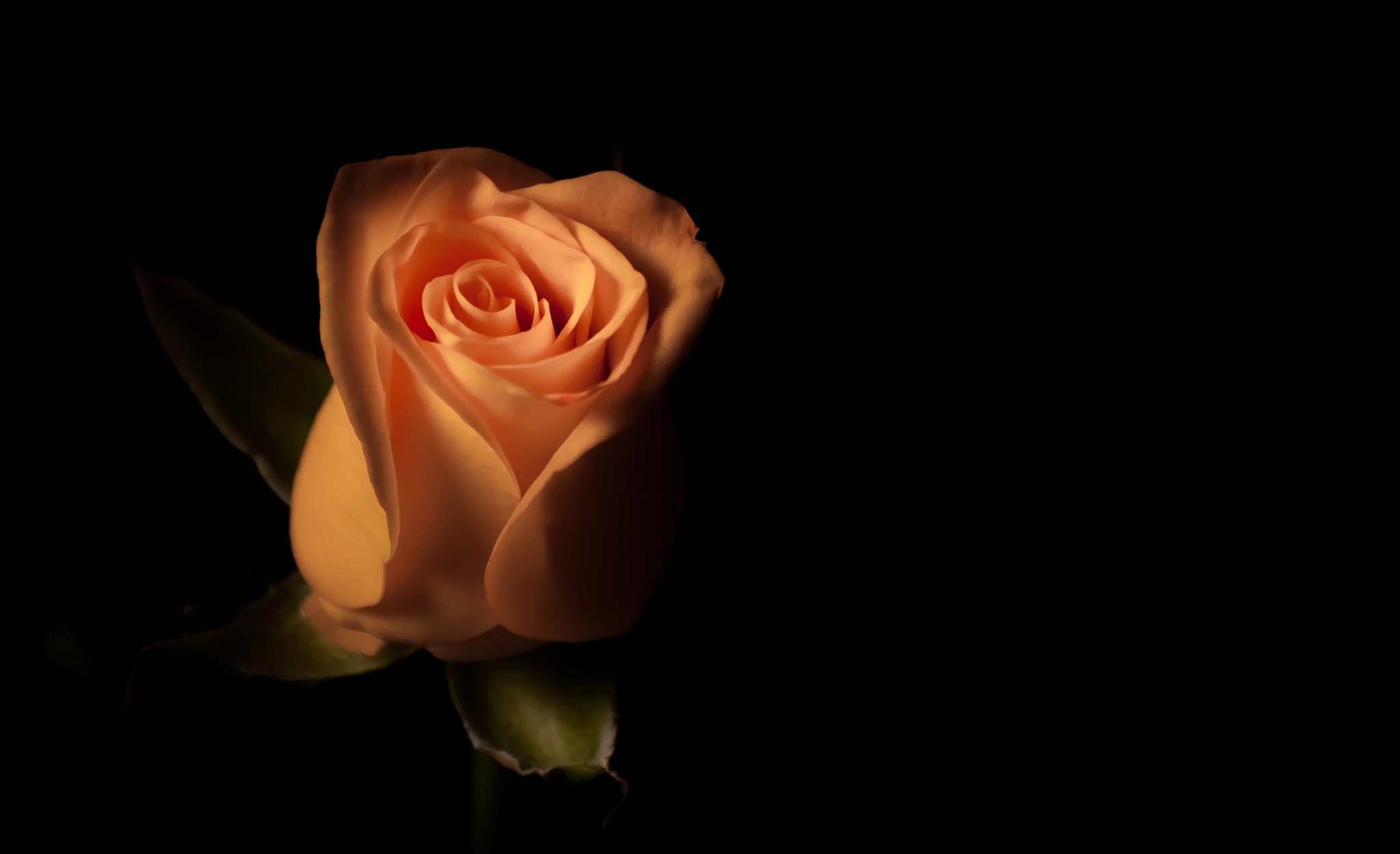 Nikon D200 sample photo. 33280819341.jpg photography