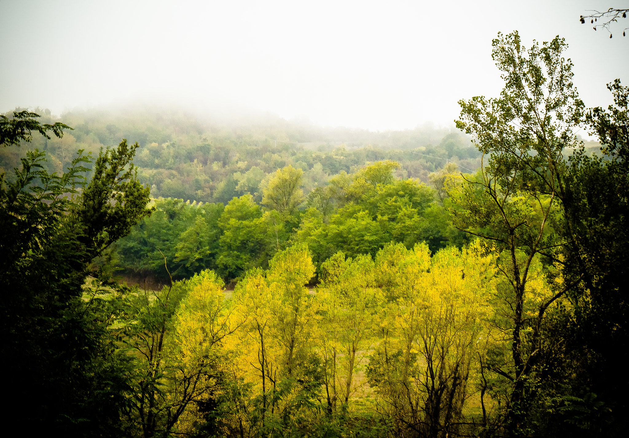 Panasonic Lumix DMC-G6 sample photo. Colors in the valley photography
