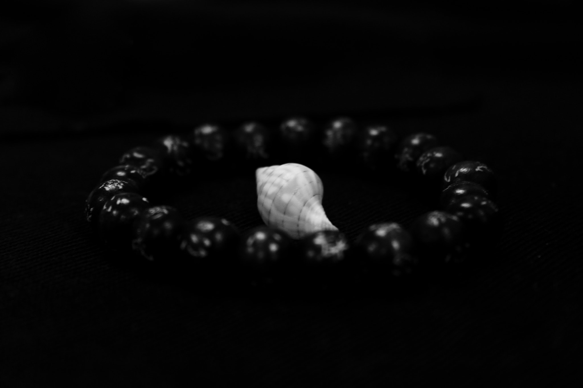 Canon EF-S 18-55mm F3.5-5.6 II sample photo. Shell in a braclet photography