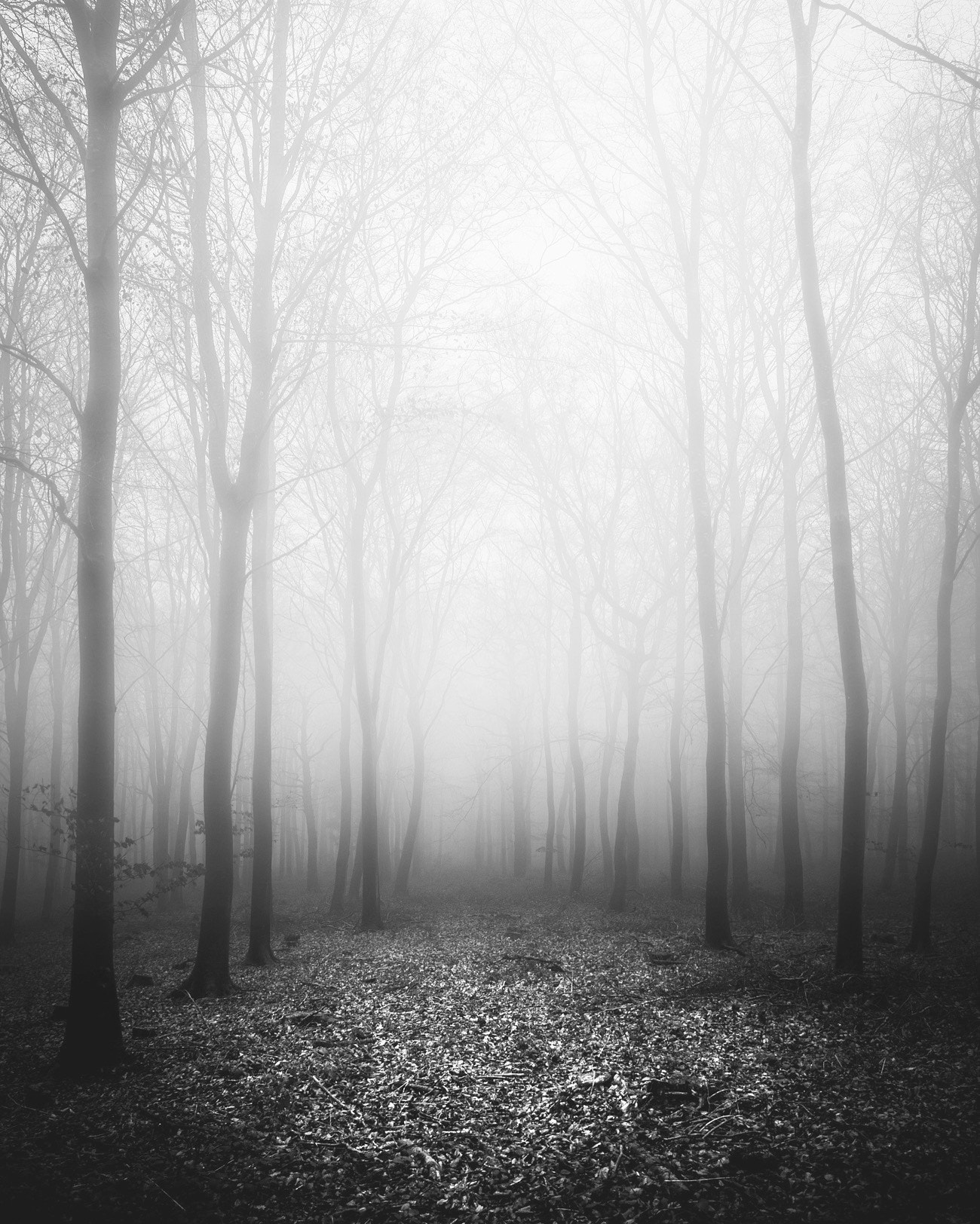 Canon EOS 5D Mark II sample photo. Oxfordshire fog photography