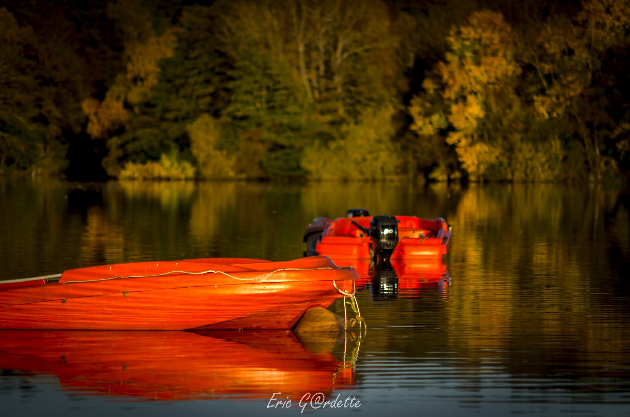 Nikon D7000 sample photo. Rouge d'automne photography