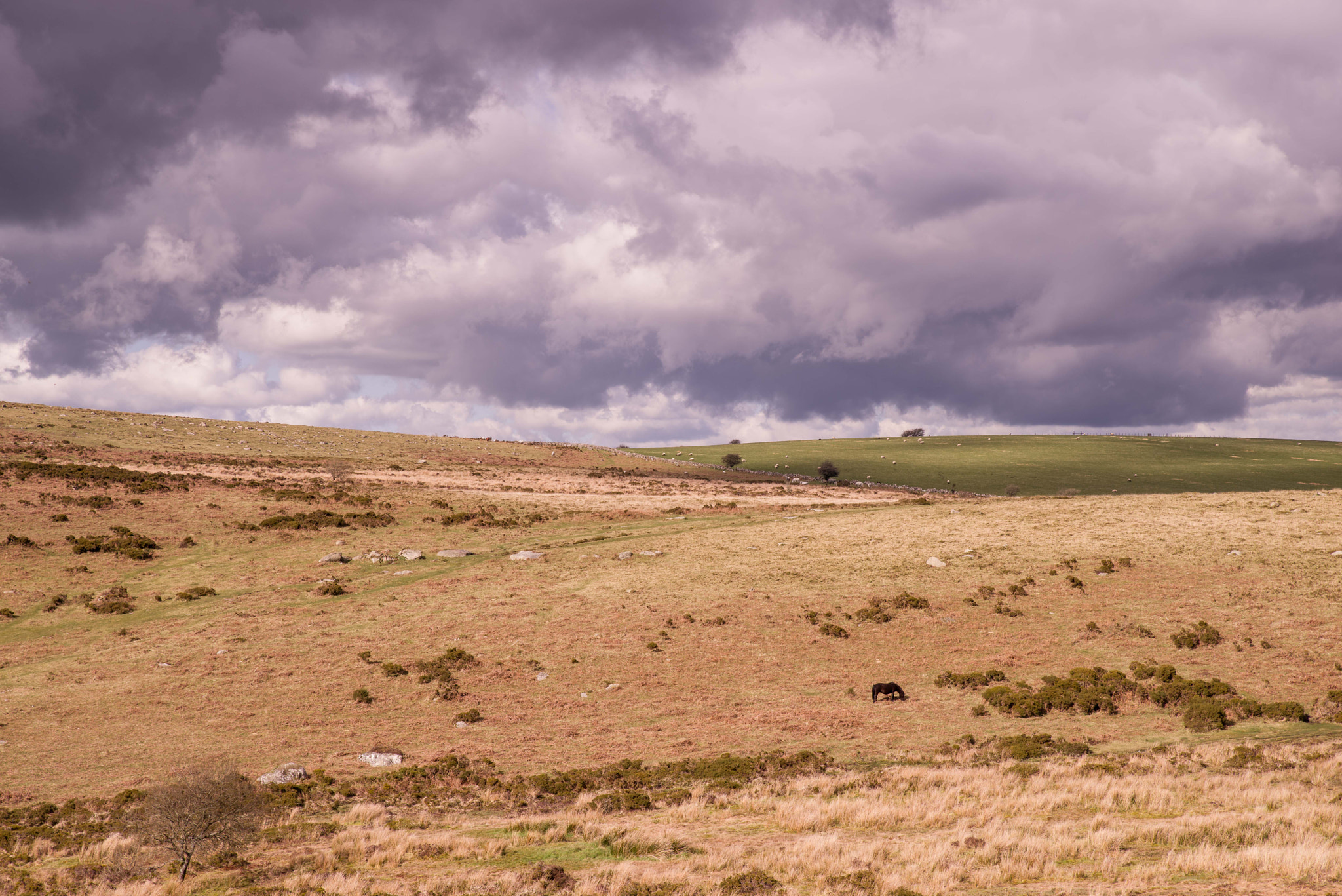 HD Pentax D FA 24-70mm F2.8 ED SDM WR sample photo. Dartmoor landscape photography