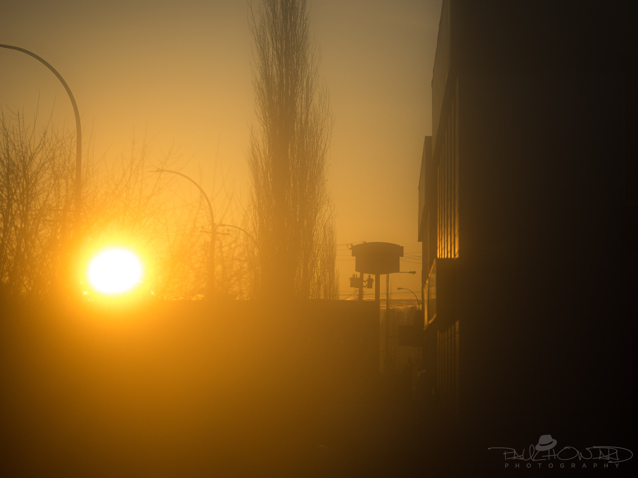 Panasonic Lumix G X Vario 35-100mm F2.8 OIS sample photo. Day 87: morning, with a vengeance photography