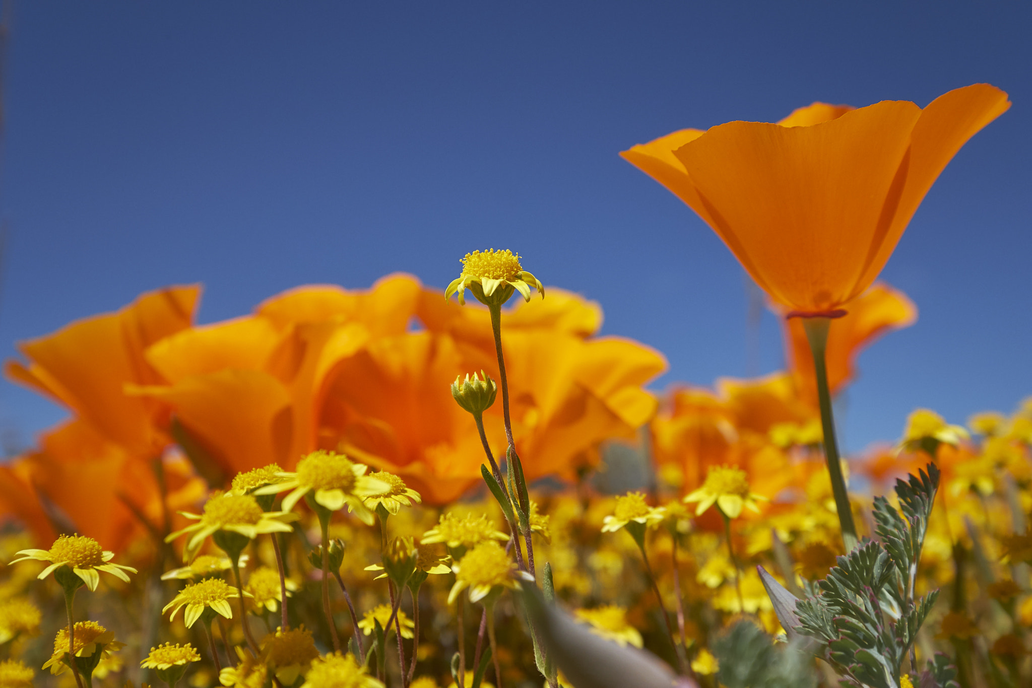 Fujifilm X-T2 + Fujifilm XF 10-24mm F4 R OIS sample photo. X tdscf photography