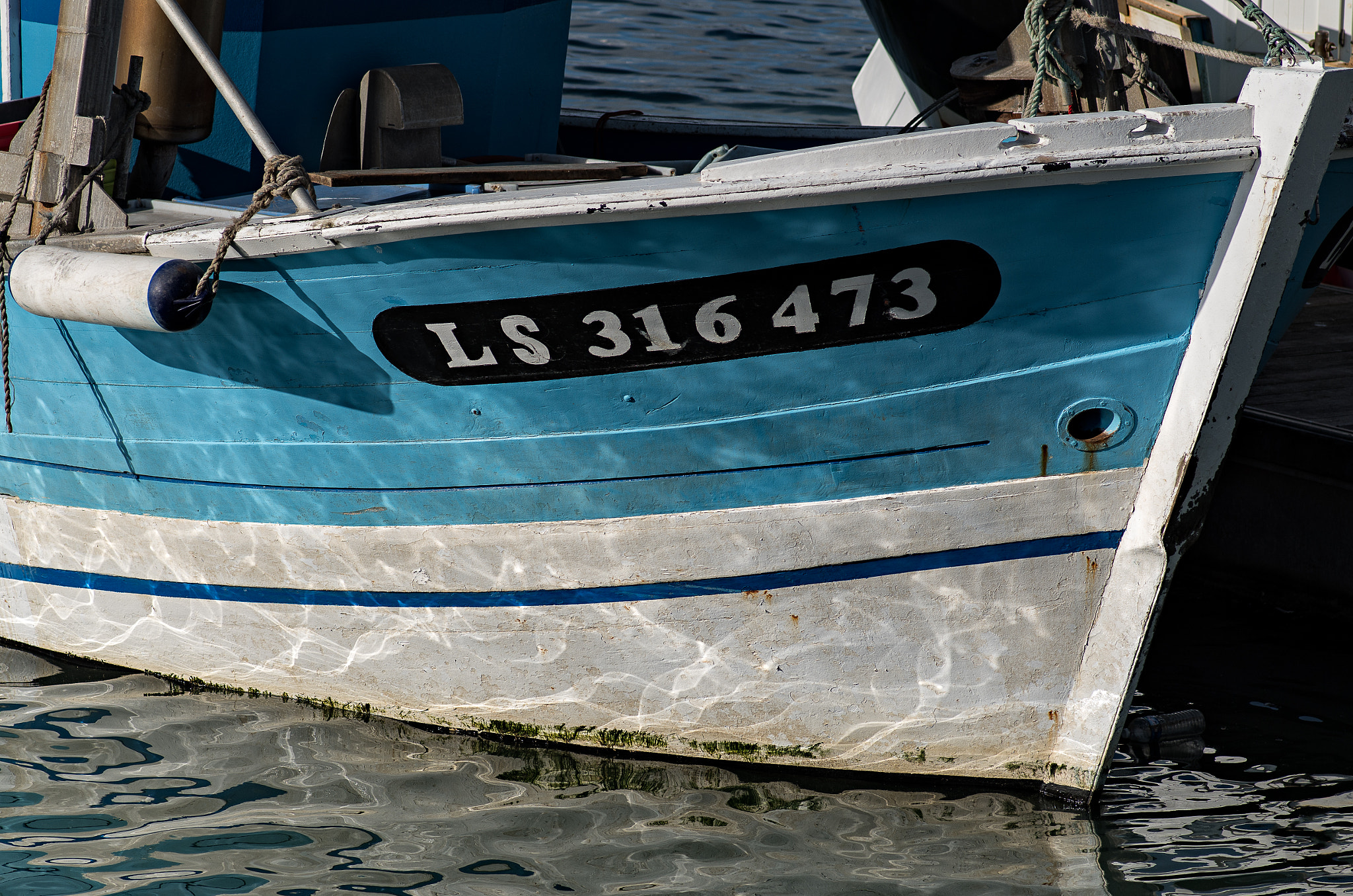 Pentax smc D-FA 100mm F2.8 Macro WR sample photo. Img photography