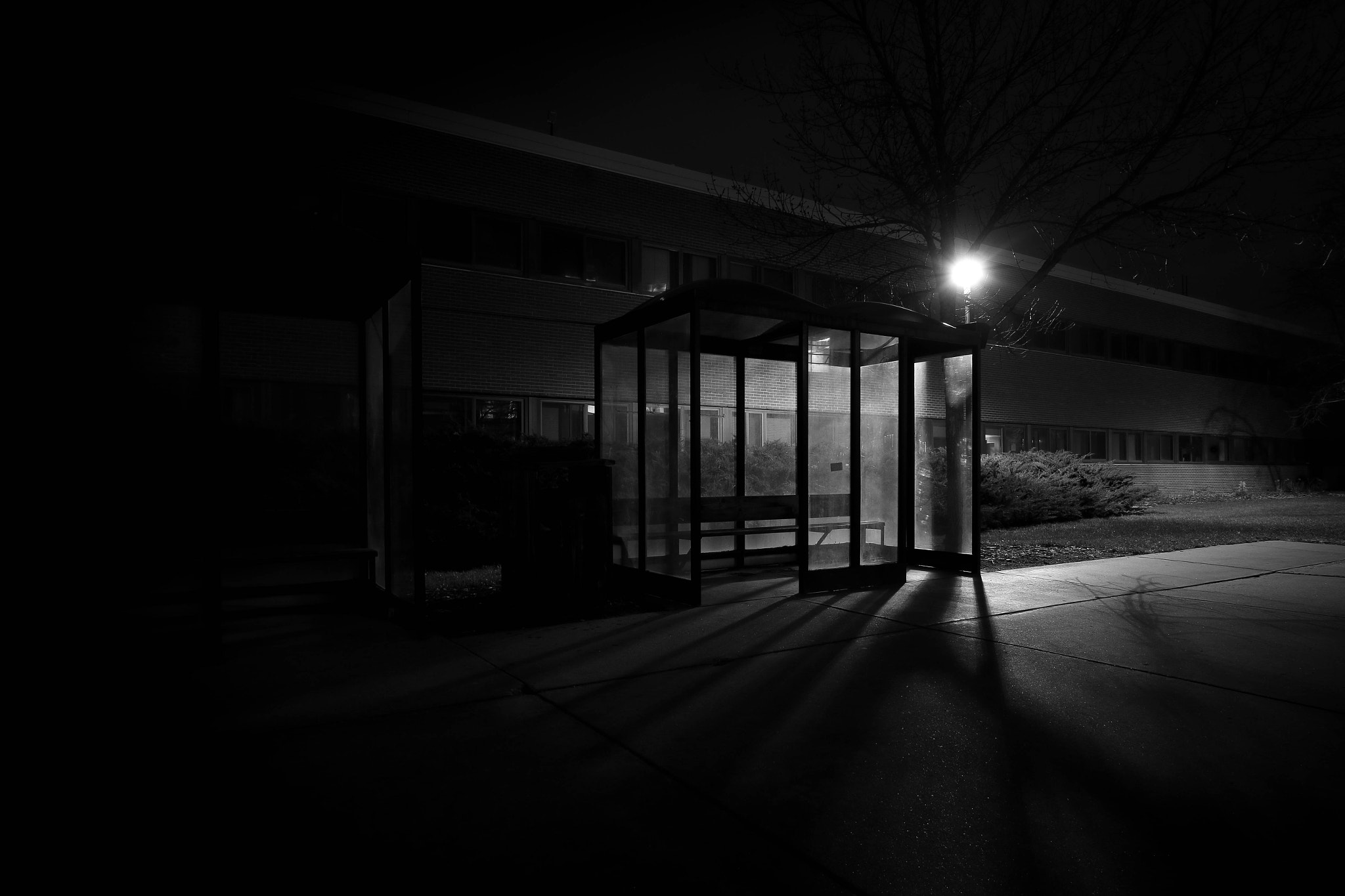 Sigma 10-20mm F3.5 EX DC HSM sample photo. Glass house photography