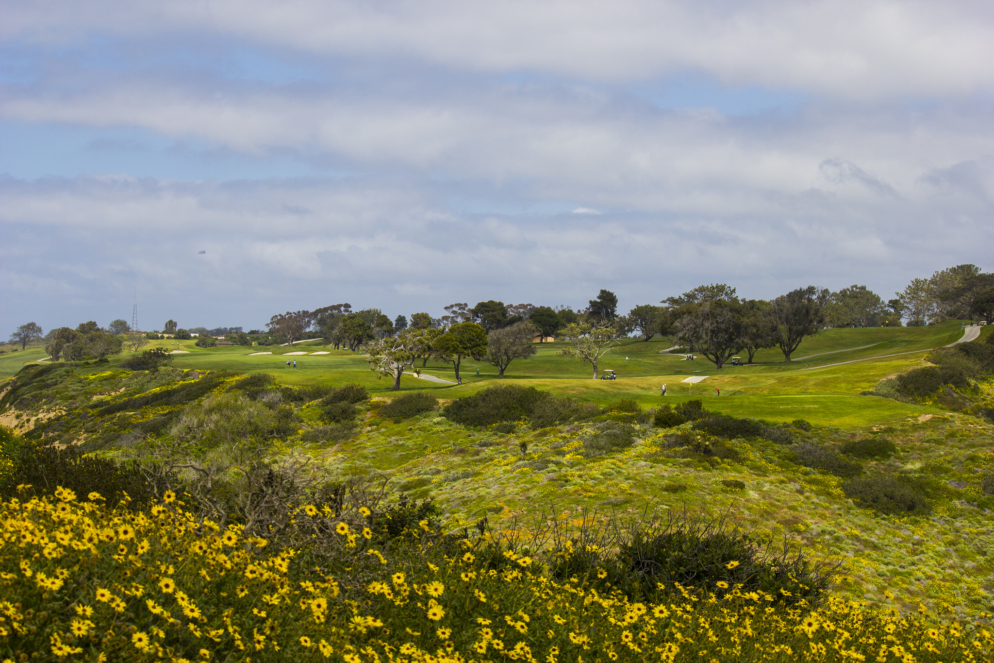 Canon EF-S 55-250mm F4-5.6 IS sample photo. Landscape of torrey pines golf course photography