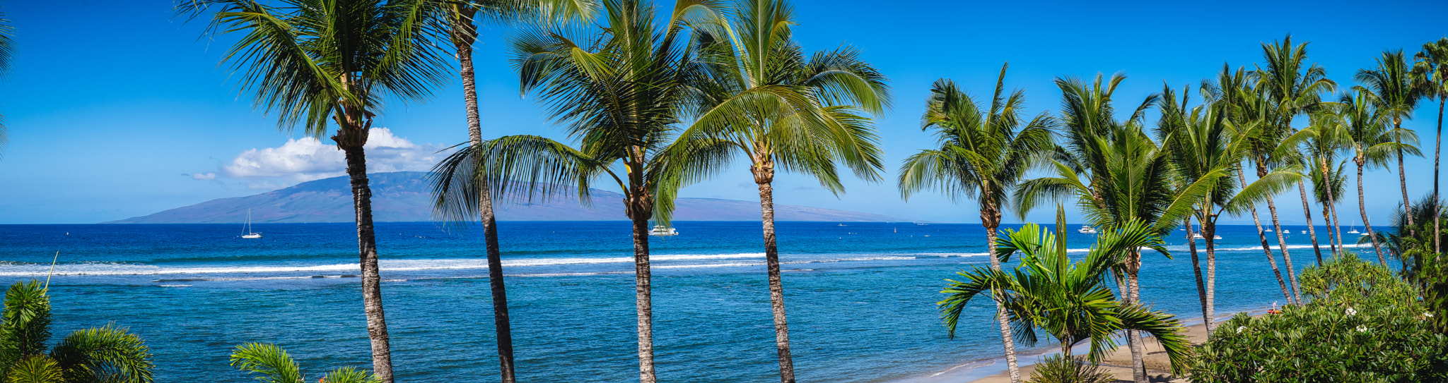 Fujifilm XF 18-55mm F2.8-4 R LM OIS sample photo. Tropical vibe photography