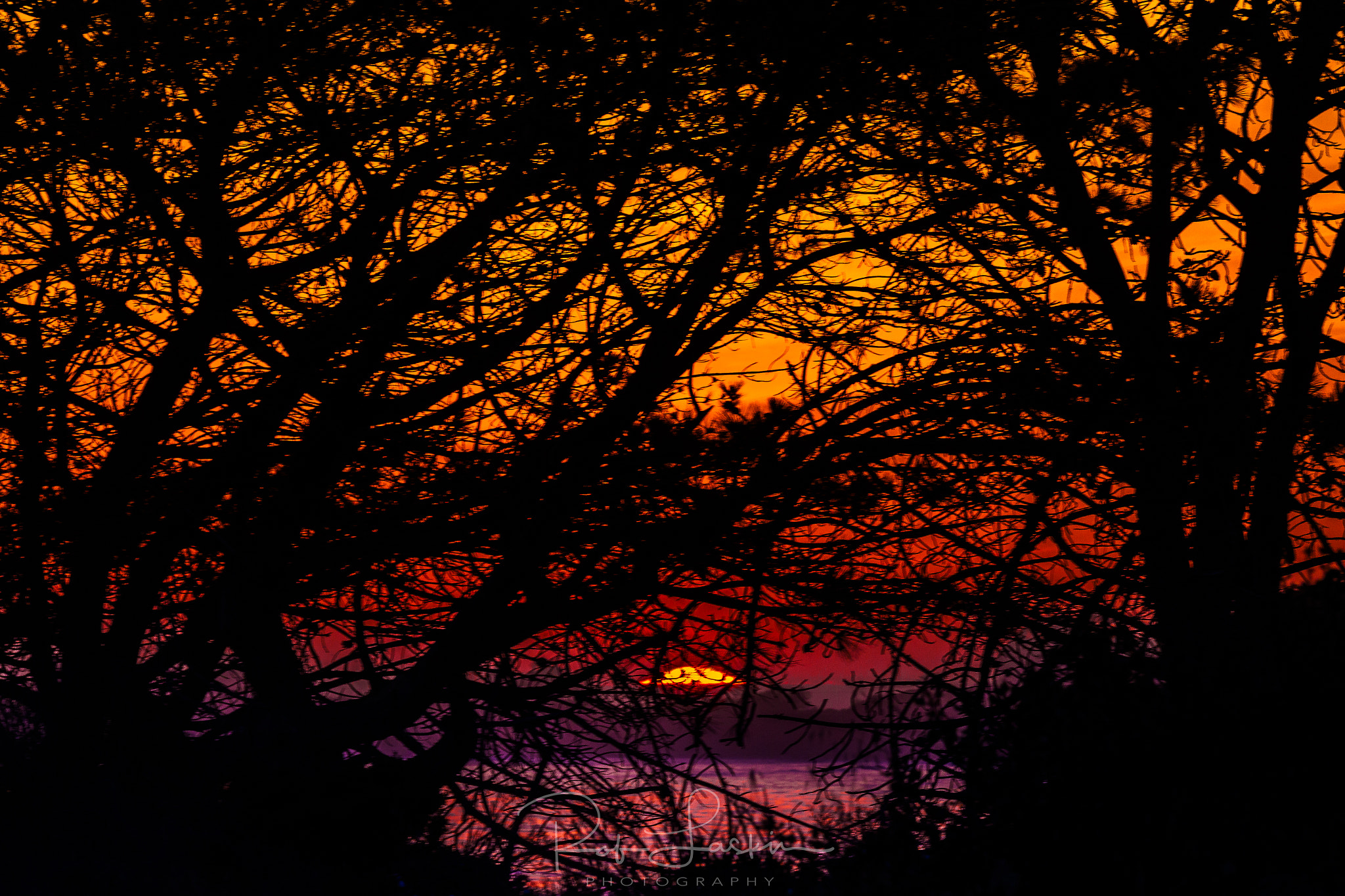 Canon EF 70-200mm F2.8L IS II USM sample photo. Tree branches sunset silhouette 4.2.17 photography