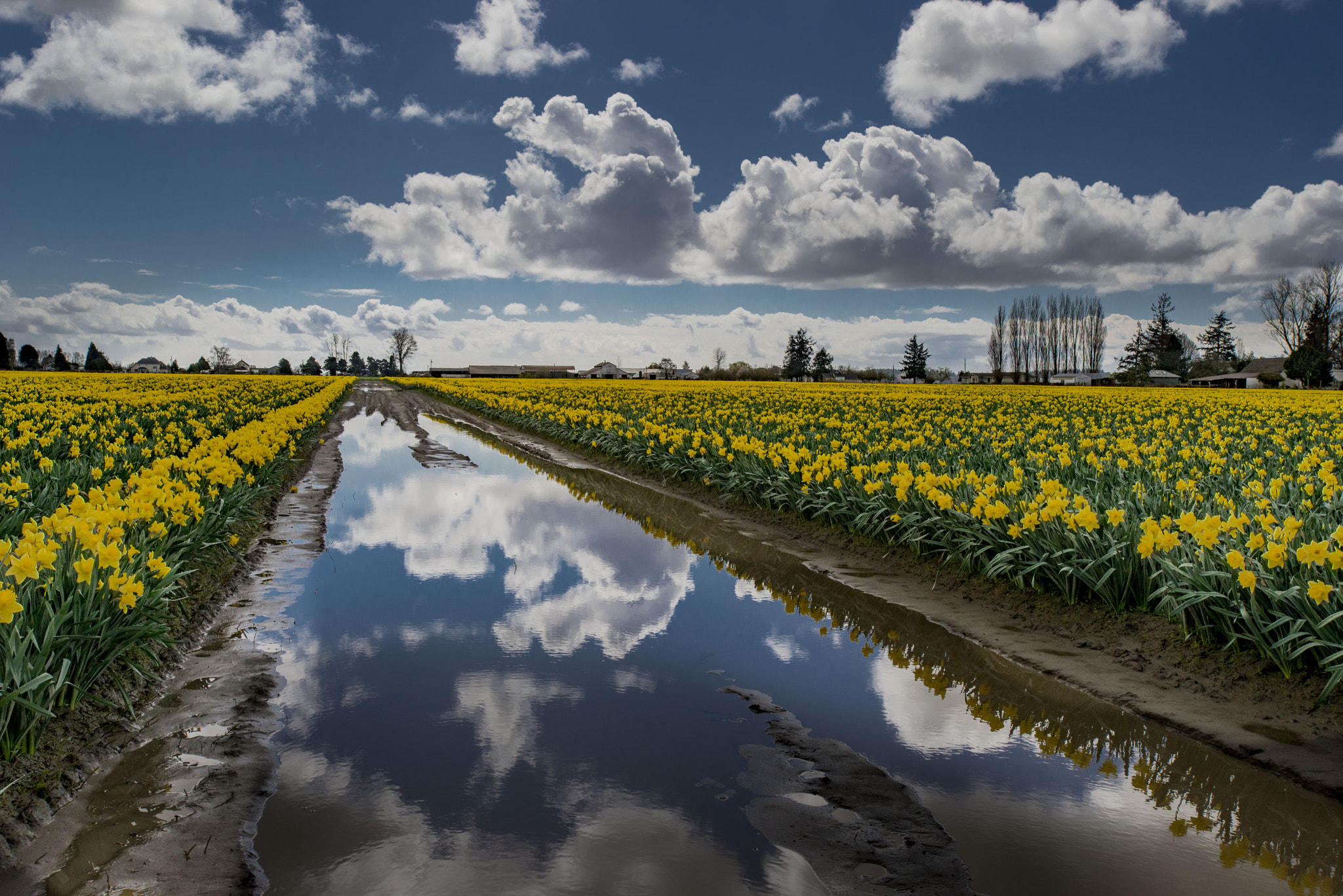 Nikon AF-S Nikkor 17-35mm F2.8D ED-IF sample photo. After rain comes sunshine photography