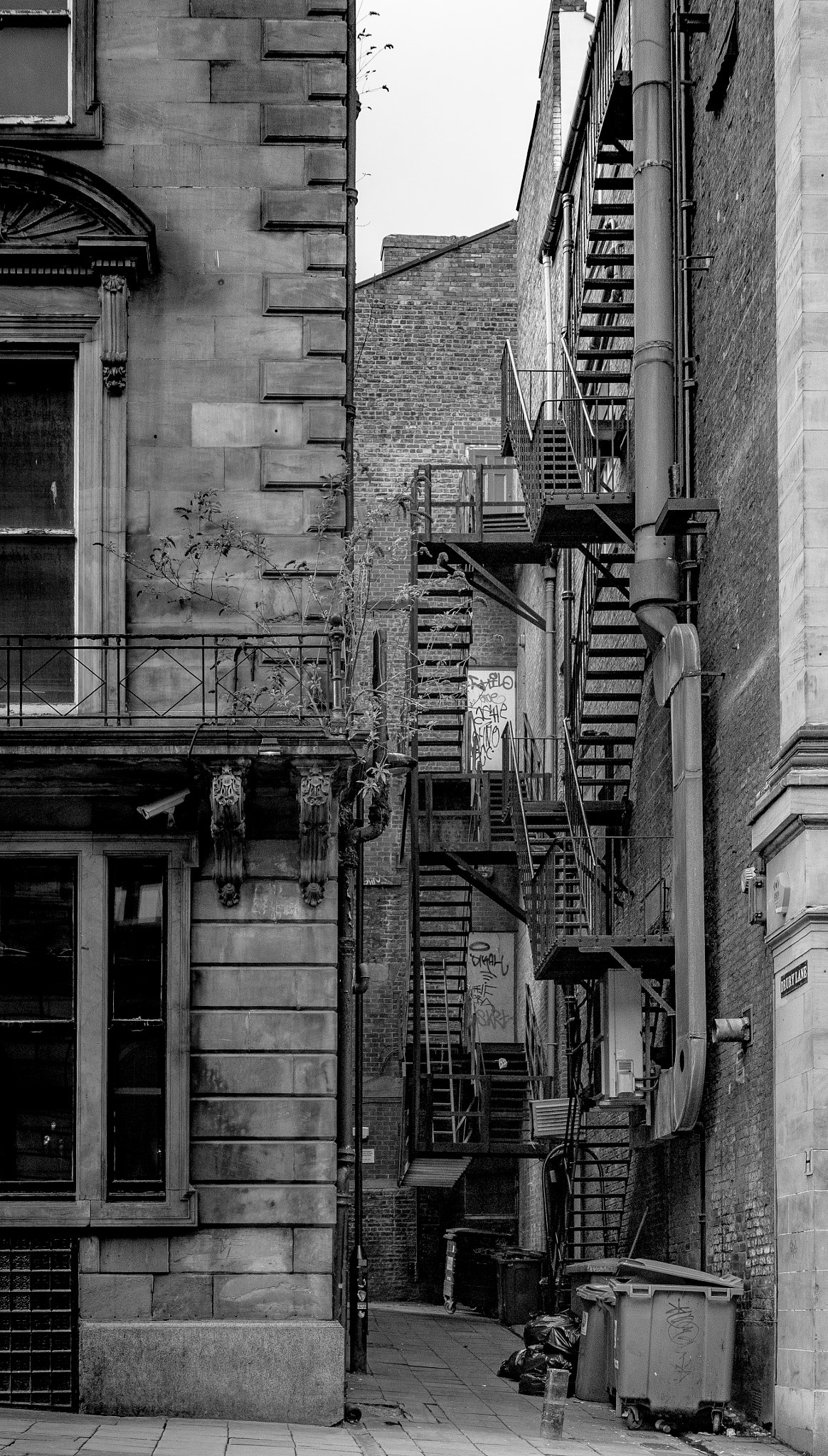 Panasonic Lumix DMC-GX85 (Lumix DMC-GX80 / Lumix DMC-GX7 Mark II) + Panasonic Leica DG Summilux 25mm F1.4 II ASPH sample photo. Zipcastle photography