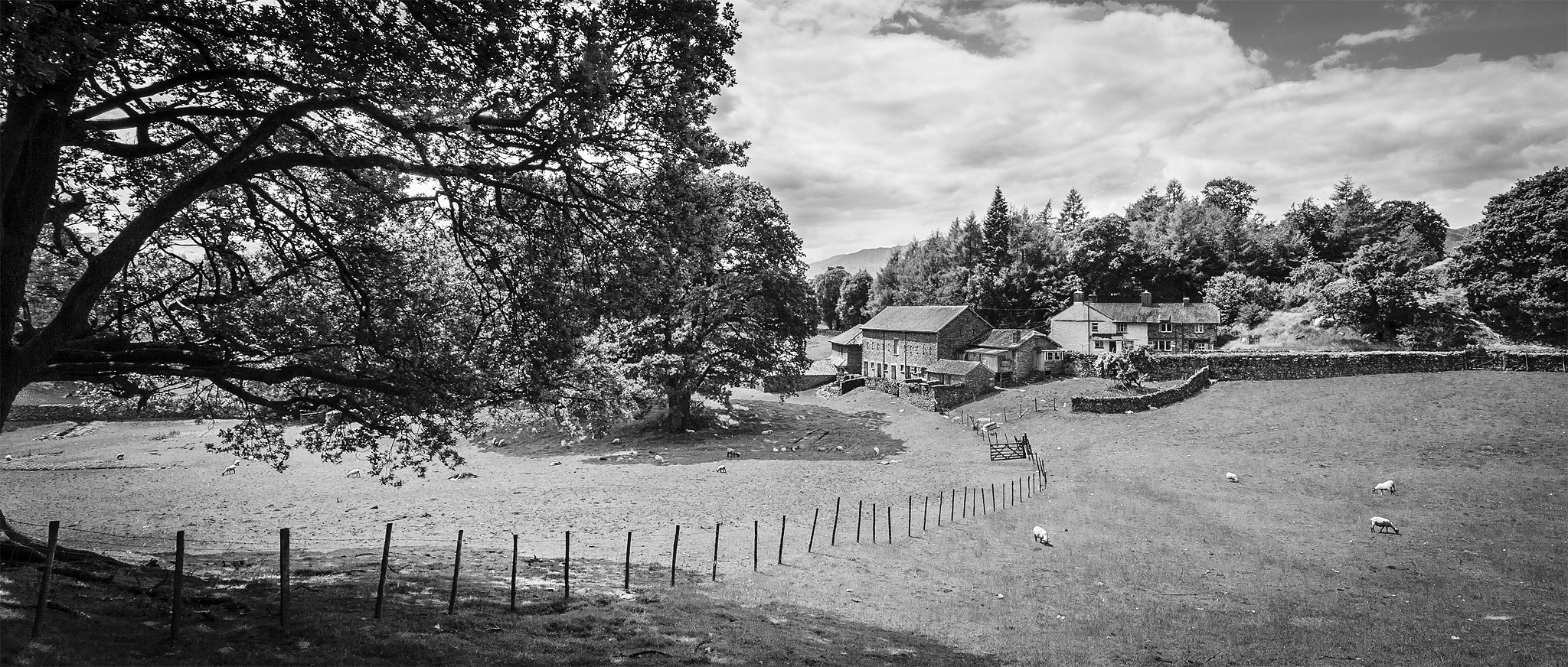 Canon EF 17-40mm F4L USM sample photo. How green was my valley photography