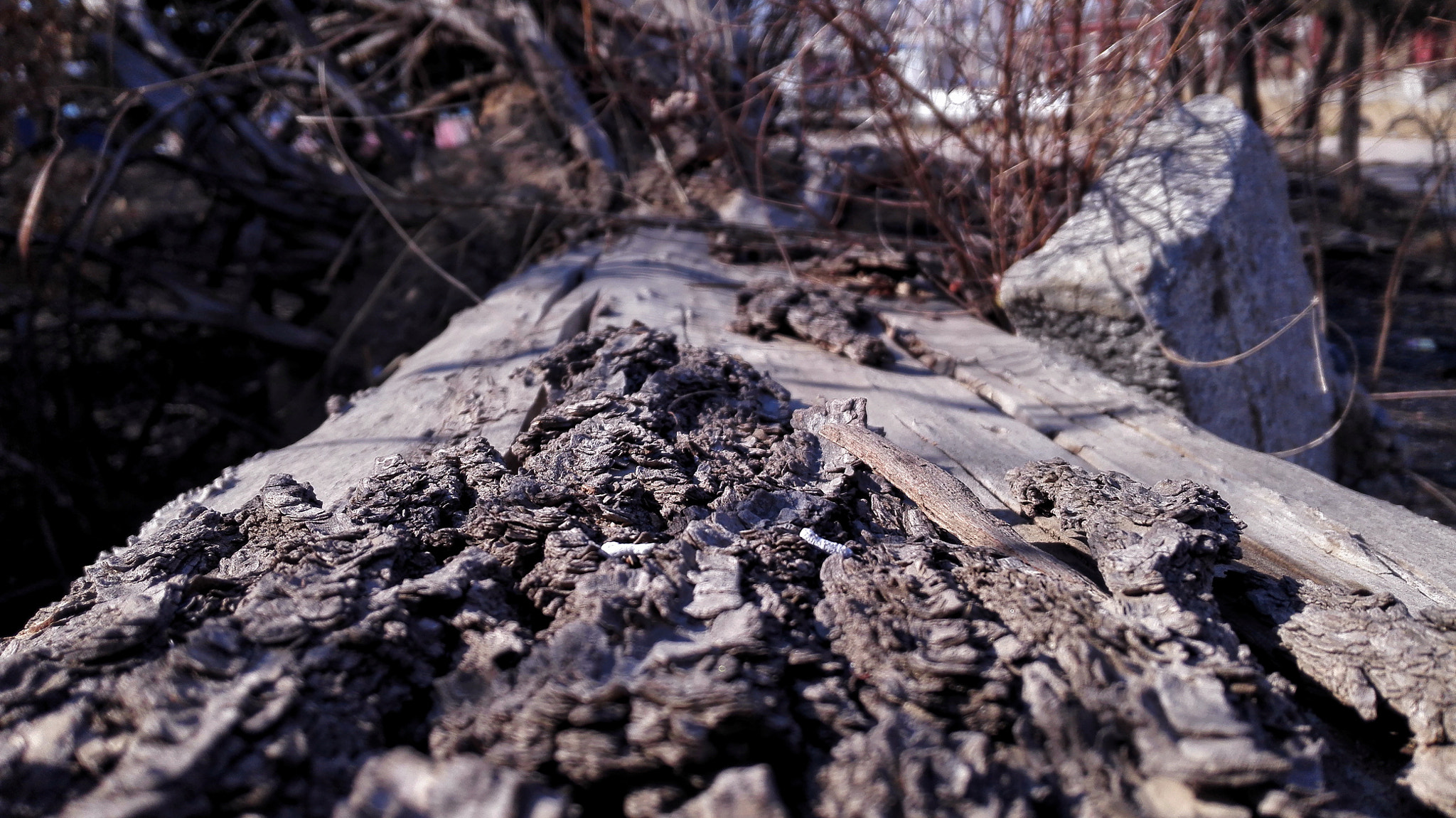 HUAWEI Mate 7 sample photo. Touch. photography