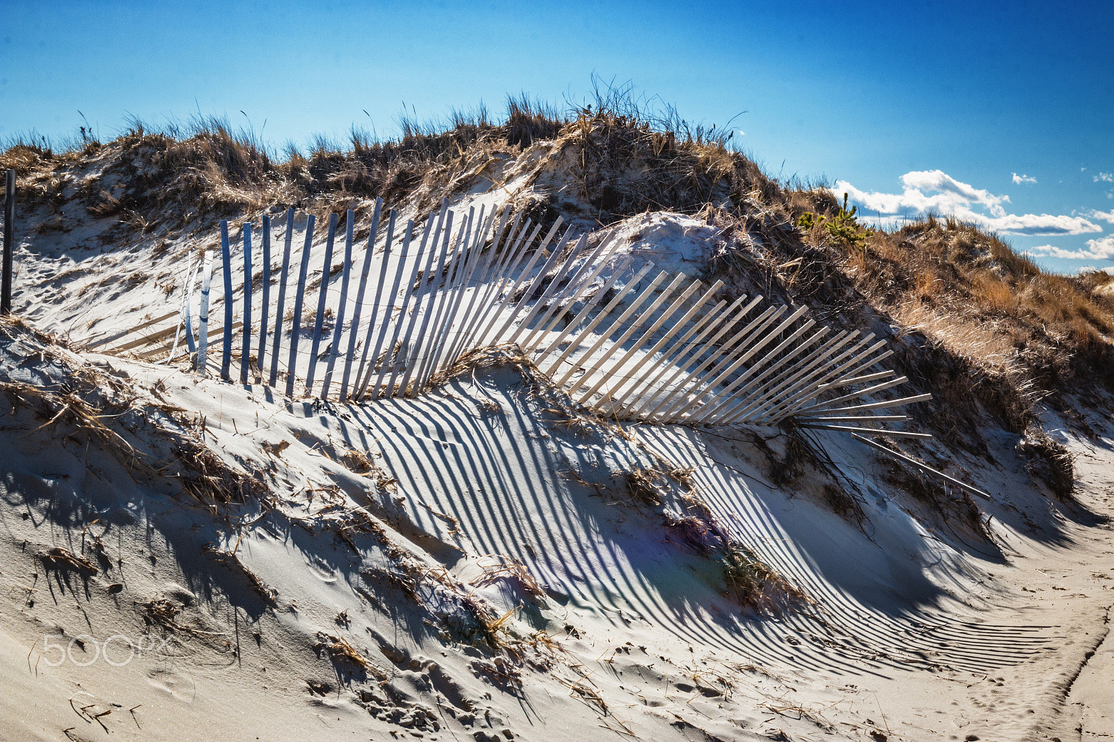 Canon EF 16-35mm F4L IS USM sample photo. The dunes at horseneck beach photography