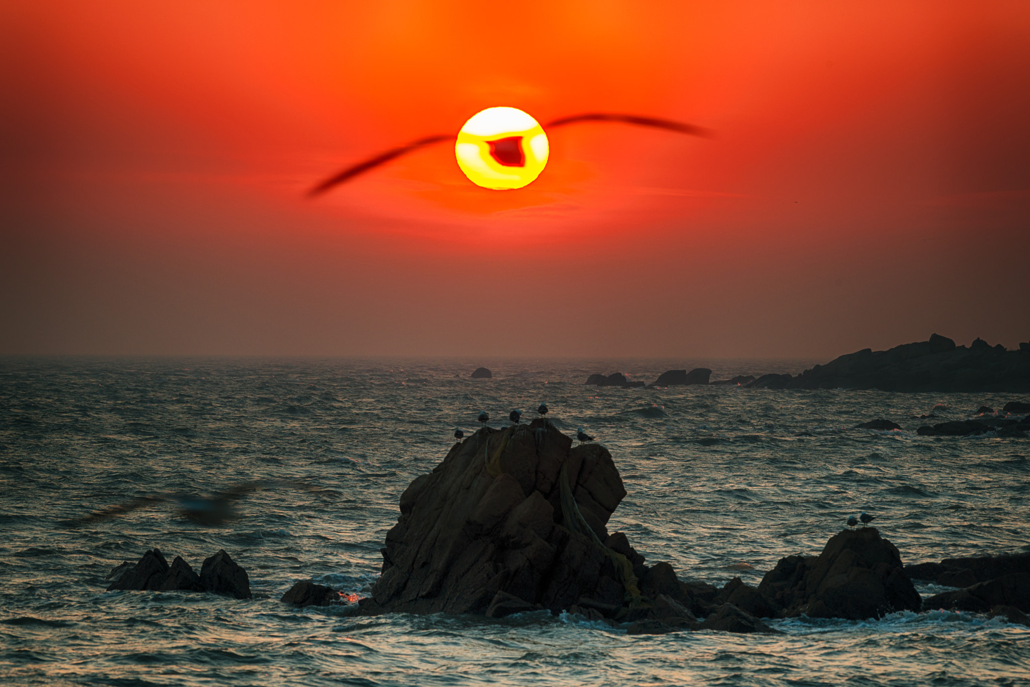 Nikon AF-S Nikkor 200-500mm F5.6E ED VR sample photo. Into the sun photography