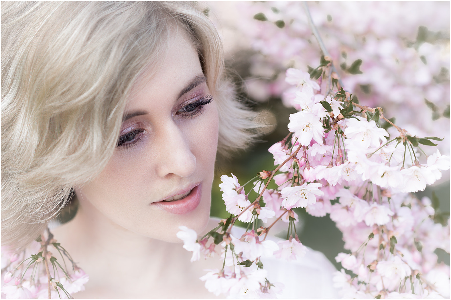 Nikon D4 + Nikon AF-S Nikkor 85mm F1.4G sample photo. La vio - cherry blossom photography