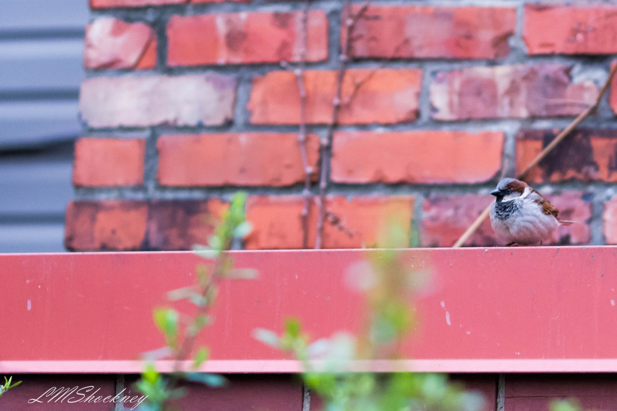 Nikon D7200 sample photo. New albany, in photography