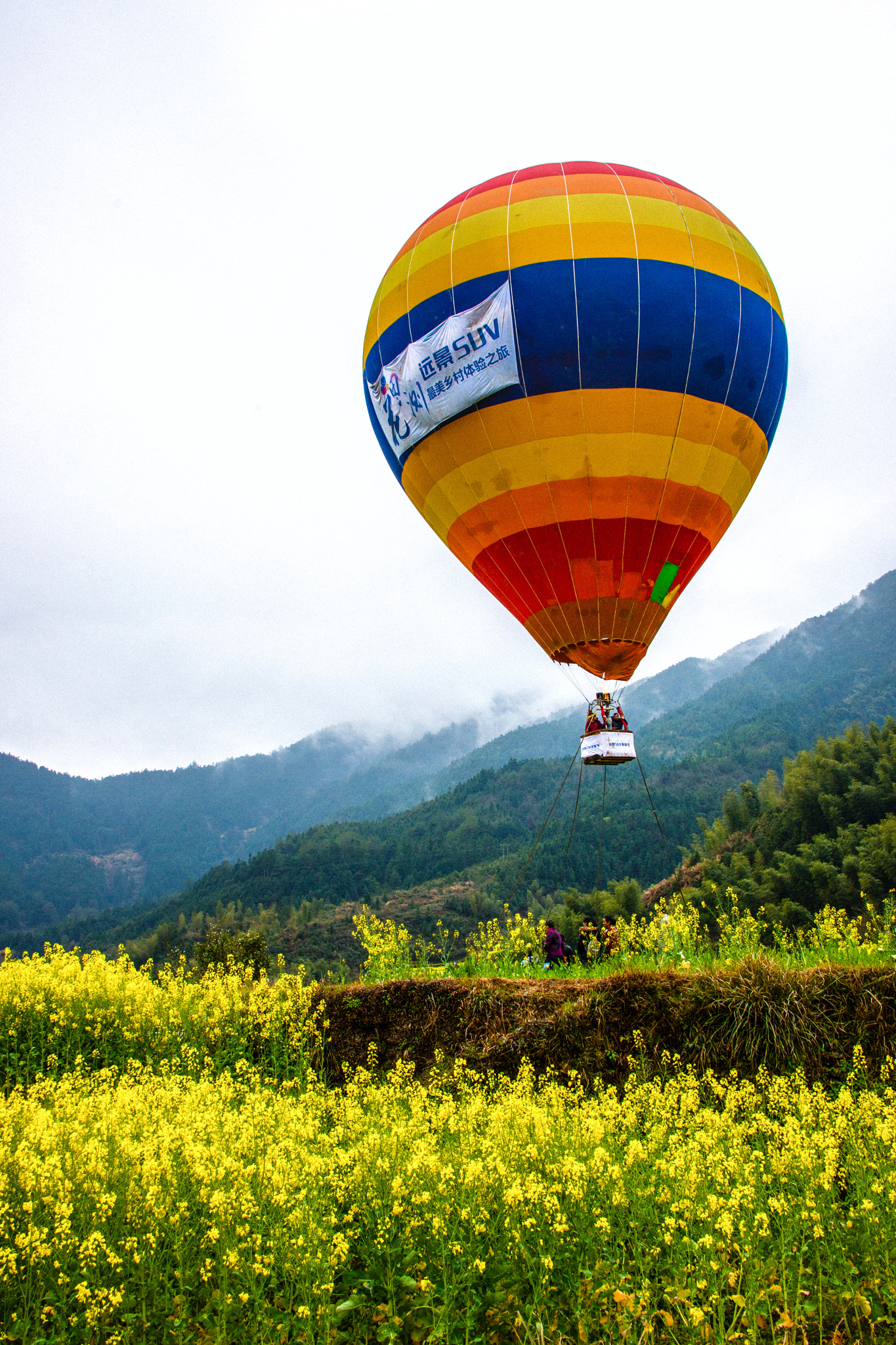 Nikon D800 sample photo. Cole flowers & hot-air balloon photography
