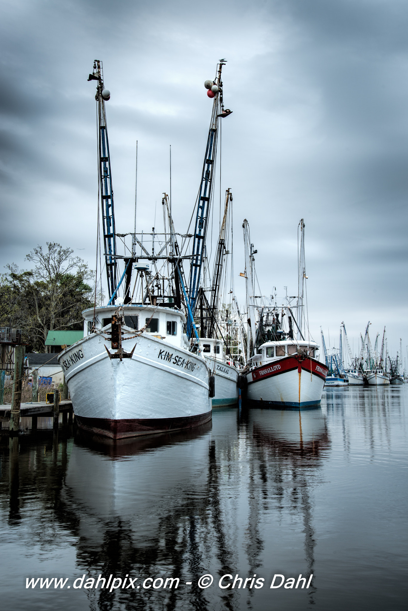 Nikon D800 sample photo. Darien ga photography