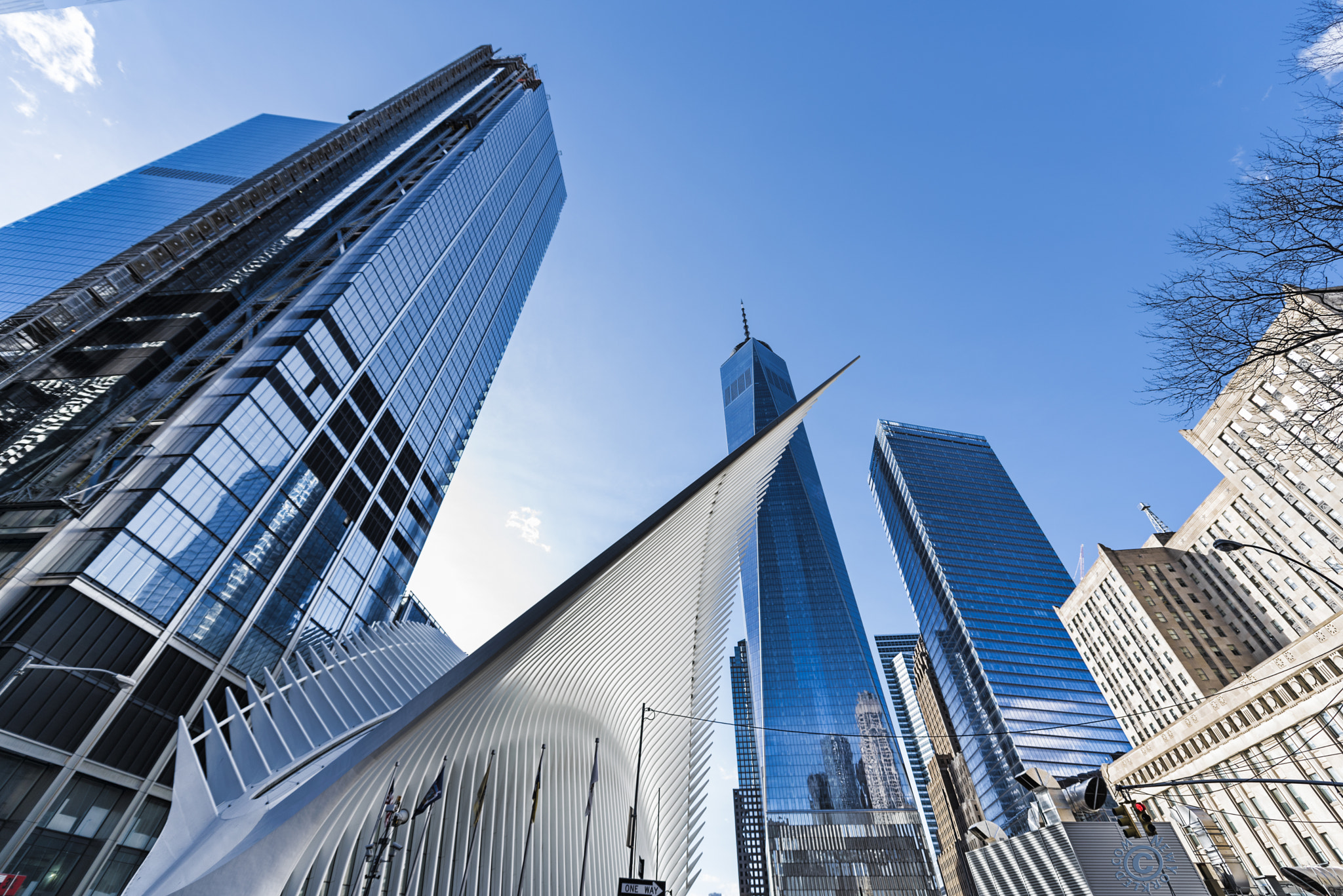 Nikon D750 + Nikon AF-S Nikkor 14-24mm F2.8G ED sample photo. Lower manhattan blues photography