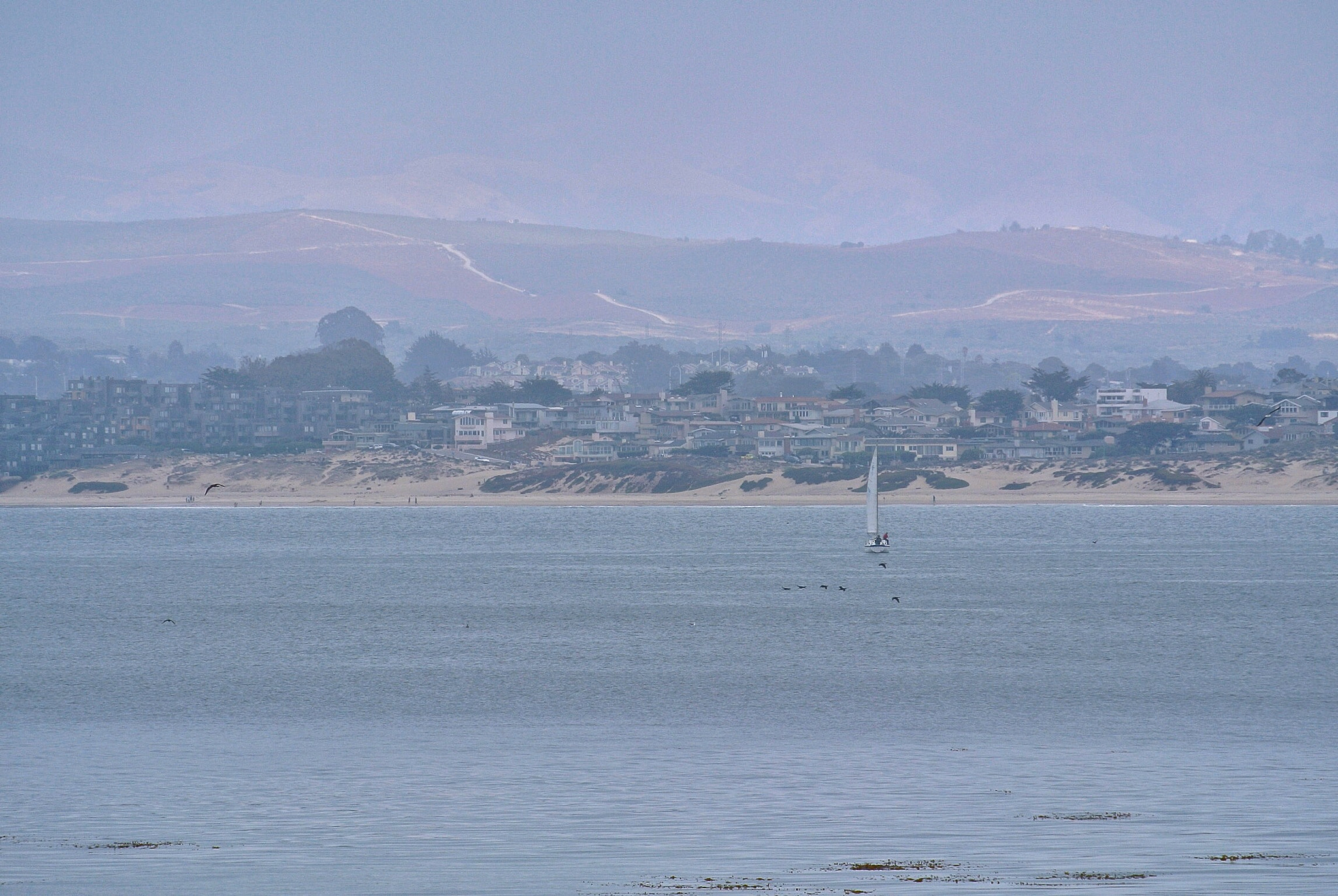 Nikon 1 Nikkor VR 30-110mm F3.8-5.6 sample photo. Sailing in monterey photography