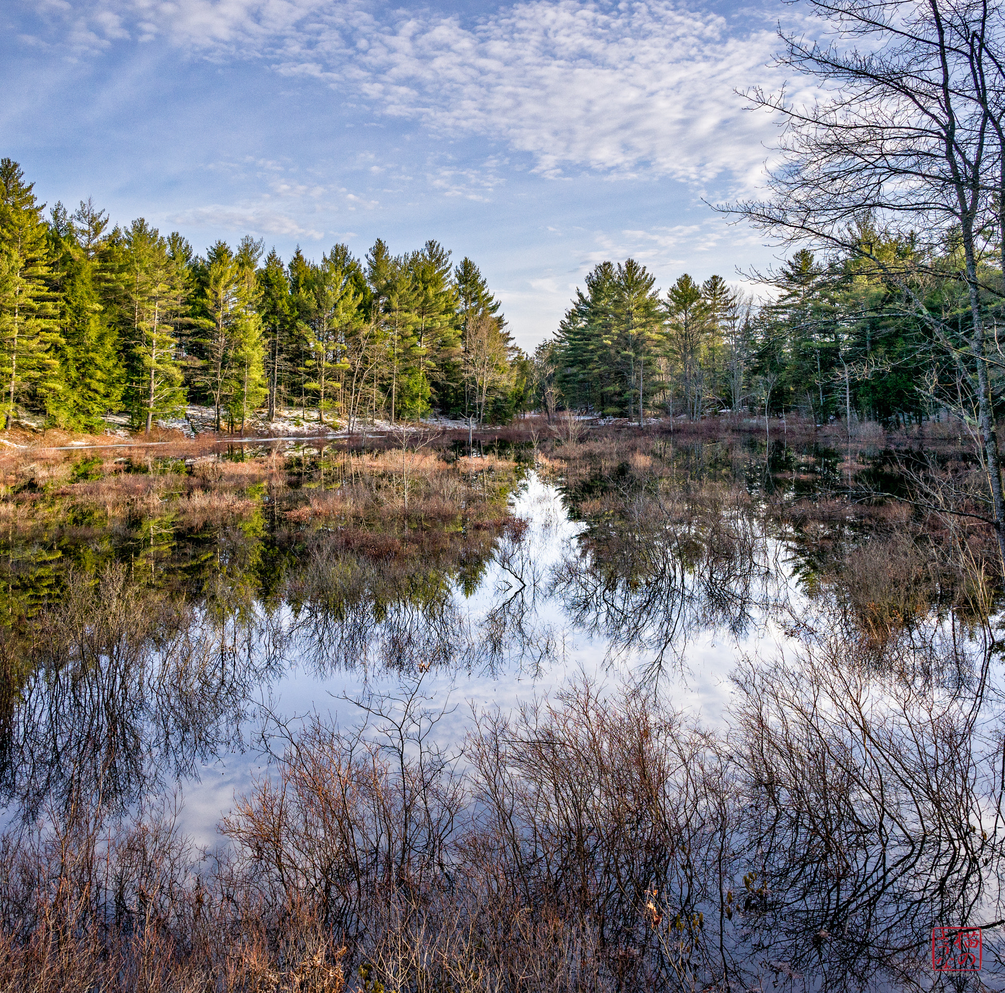 Sony a7 + Sony Sonnar T* E 24mm F1.8 ZA sample photo. High water reflections photography