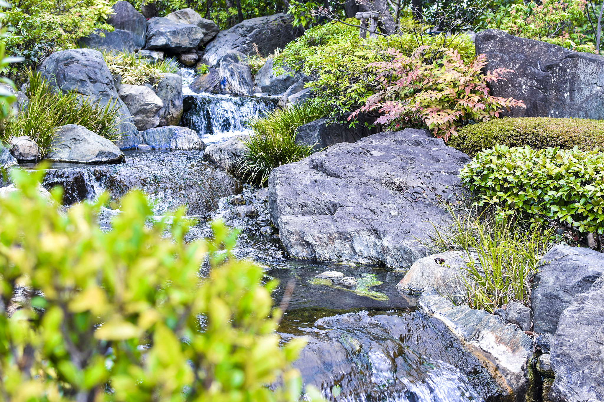 Nikon D5500 + Nikon AF-S DX Nikkor 35mm F1.8G sample photo. Garden in japan photography