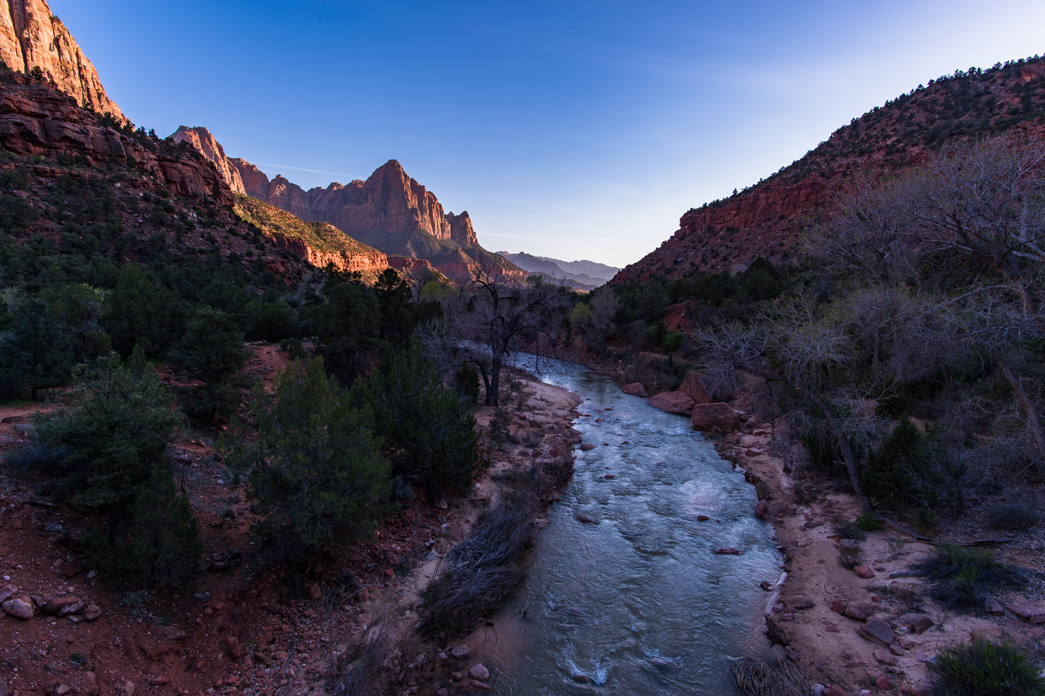 Nikon Df + Nikon AF-S Nikkor 20mm F1.8G ED sample photo. Zion national park photography