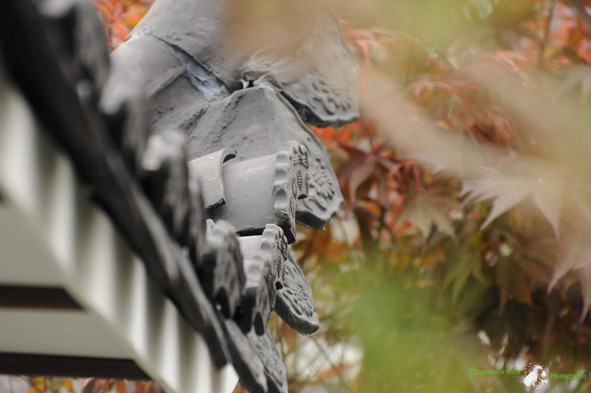 Nikon D300S sample photo. Home history photography