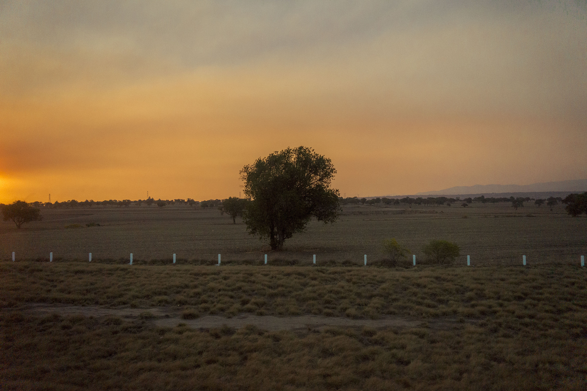 E 18-50mm F4-5.6 sample photo. Adventure in the road 1 photography