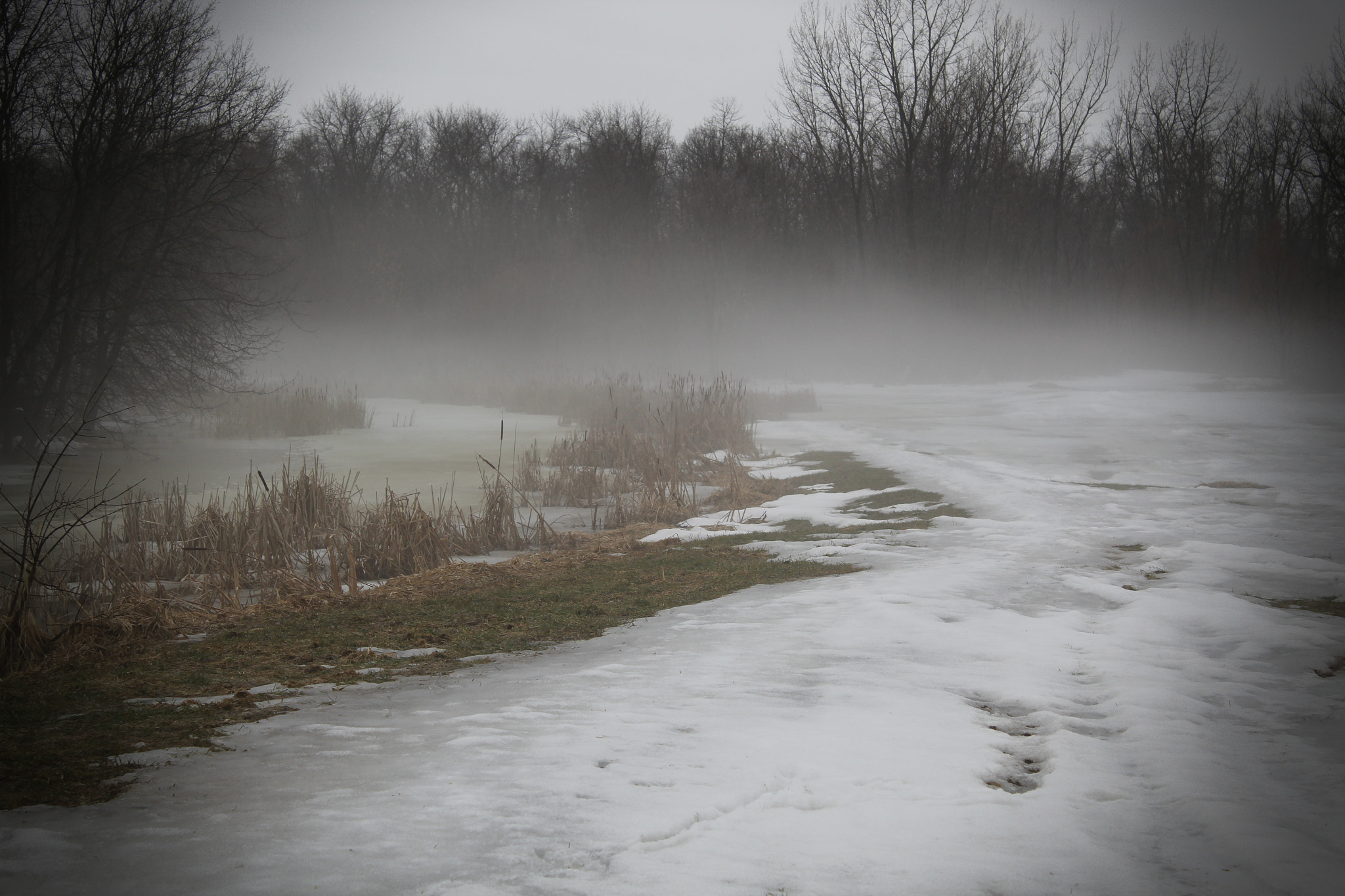 Canon EF-S 18-55mm F3.5-5.6 IS sample photo. Spring fog photography