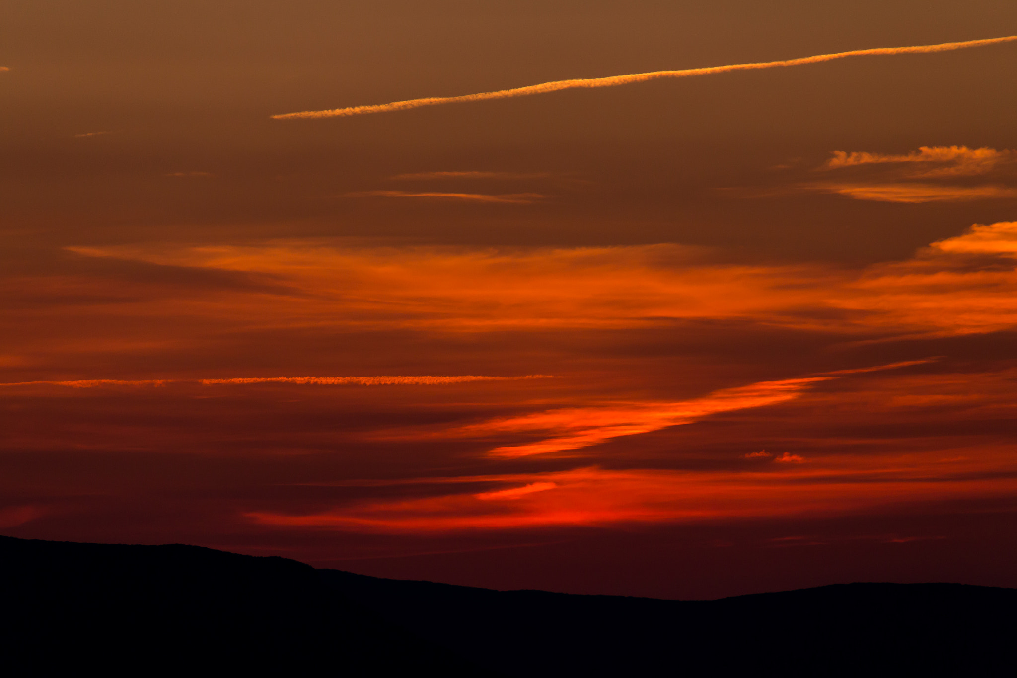 Canon EF-S 55-250mm F4-5.6 IS STM sample photo. Sunset closeup photography