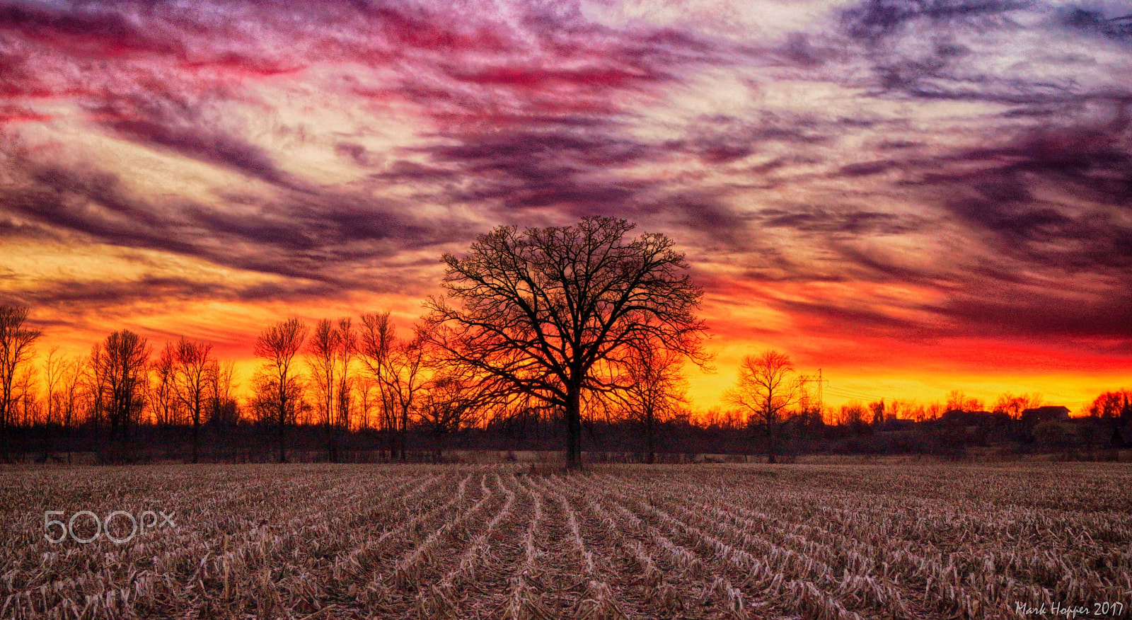 Sony SLT-A65 (SLT-A65V) + Sony DT 18-55mm F3.5-5.6 SAM sample photo. Spring sunset photography